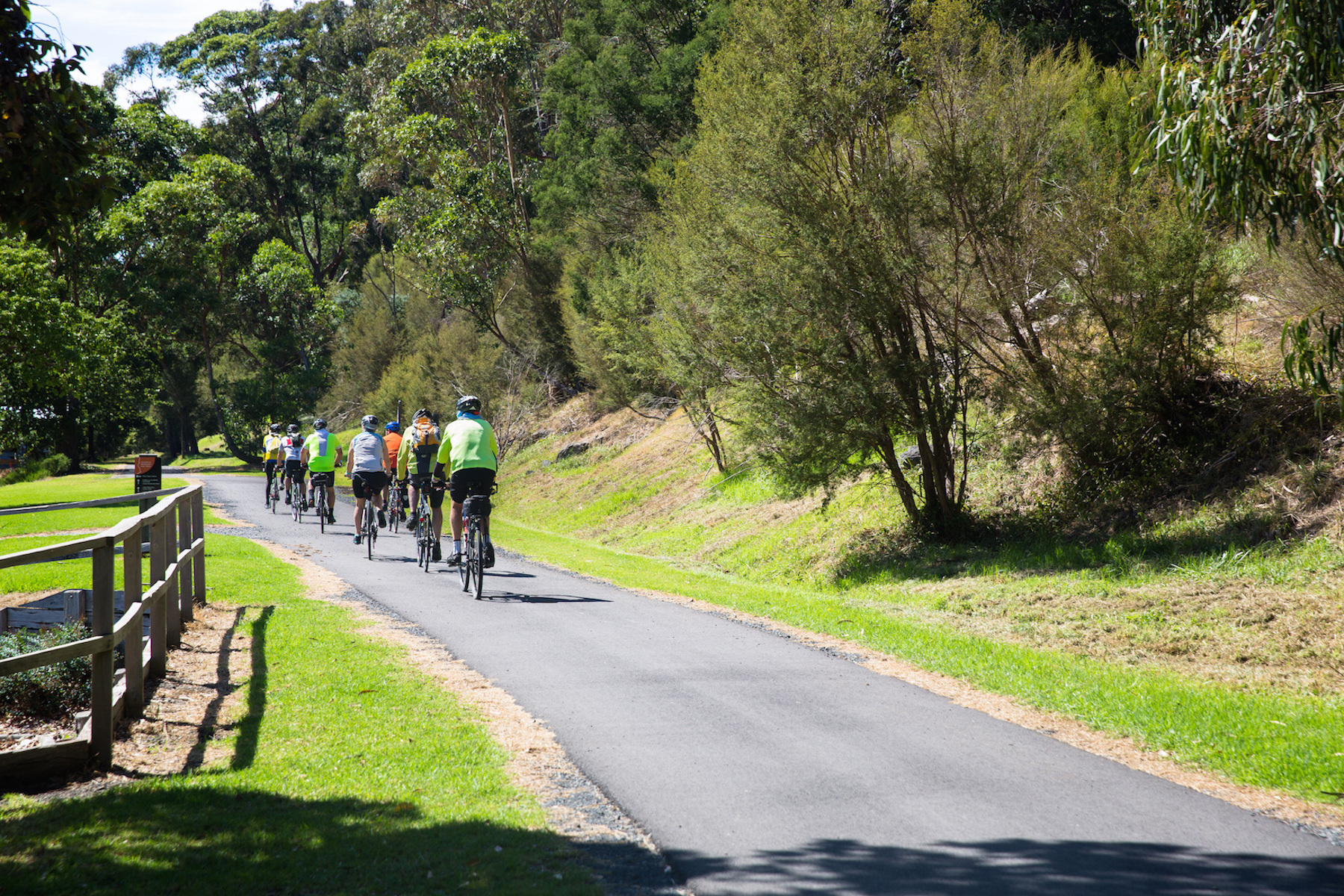 Lilydale to warburton rail trail cyclw