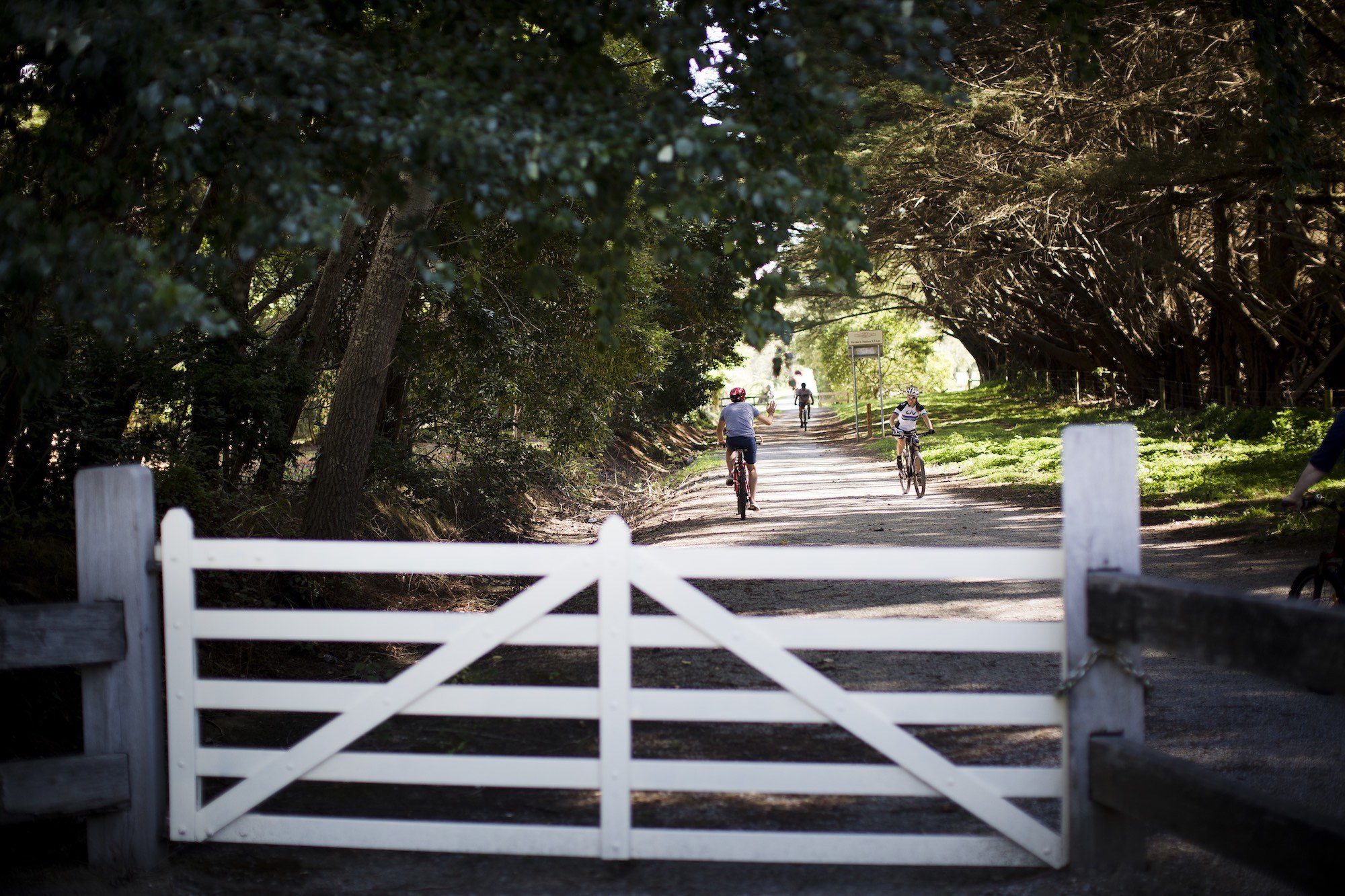 Millgrove Visit Yarra Valley & Dandenong Ranges