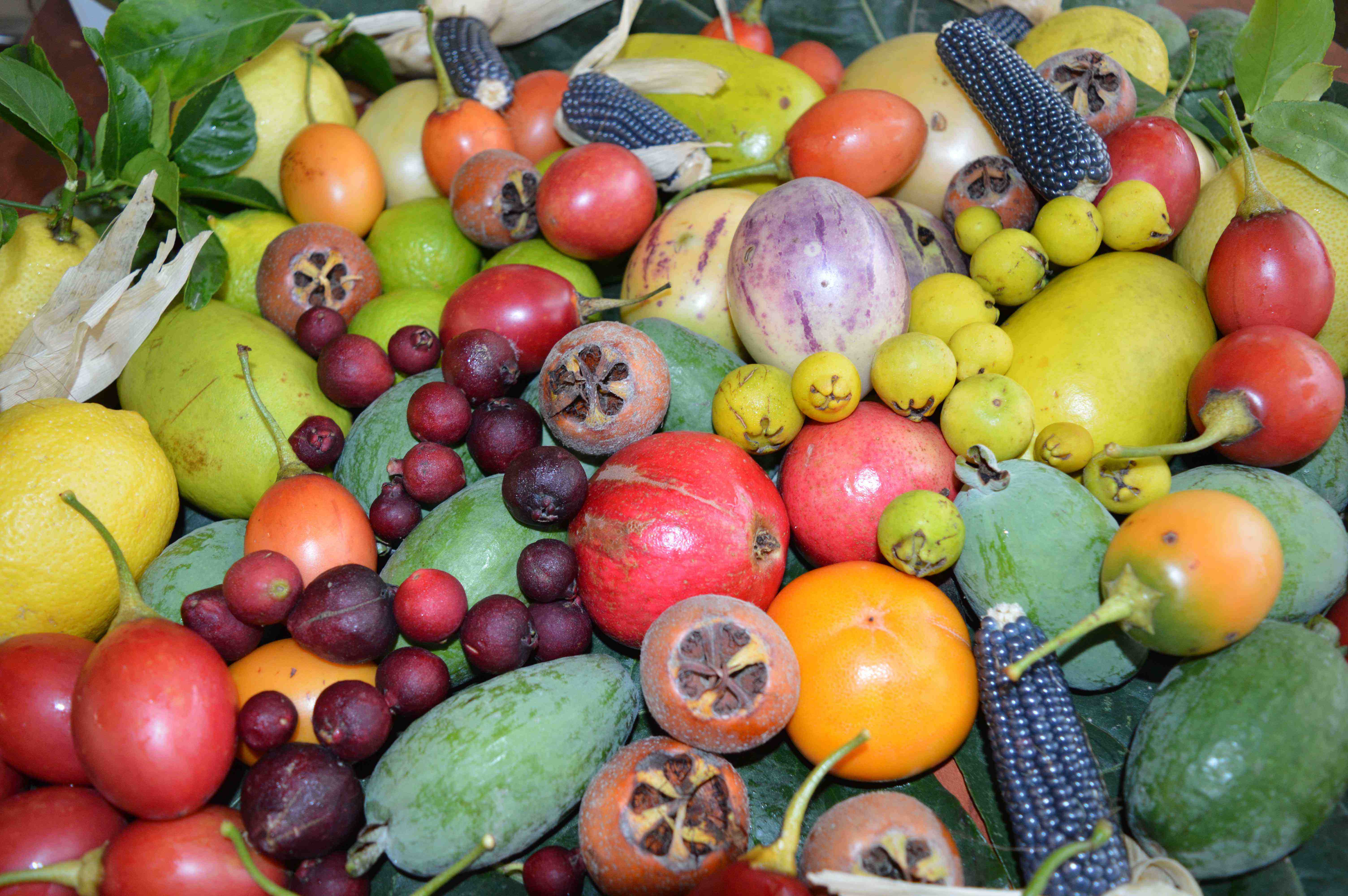 Orchard fruit woori yallock