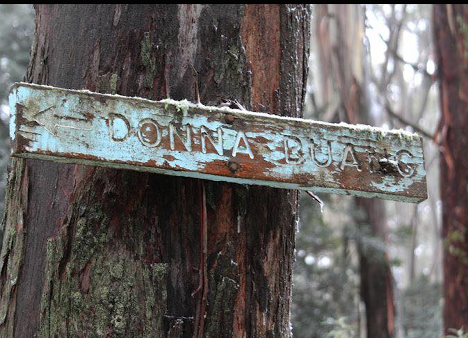 Screen shot 2018 06 19 at 1 52 57 pm 0