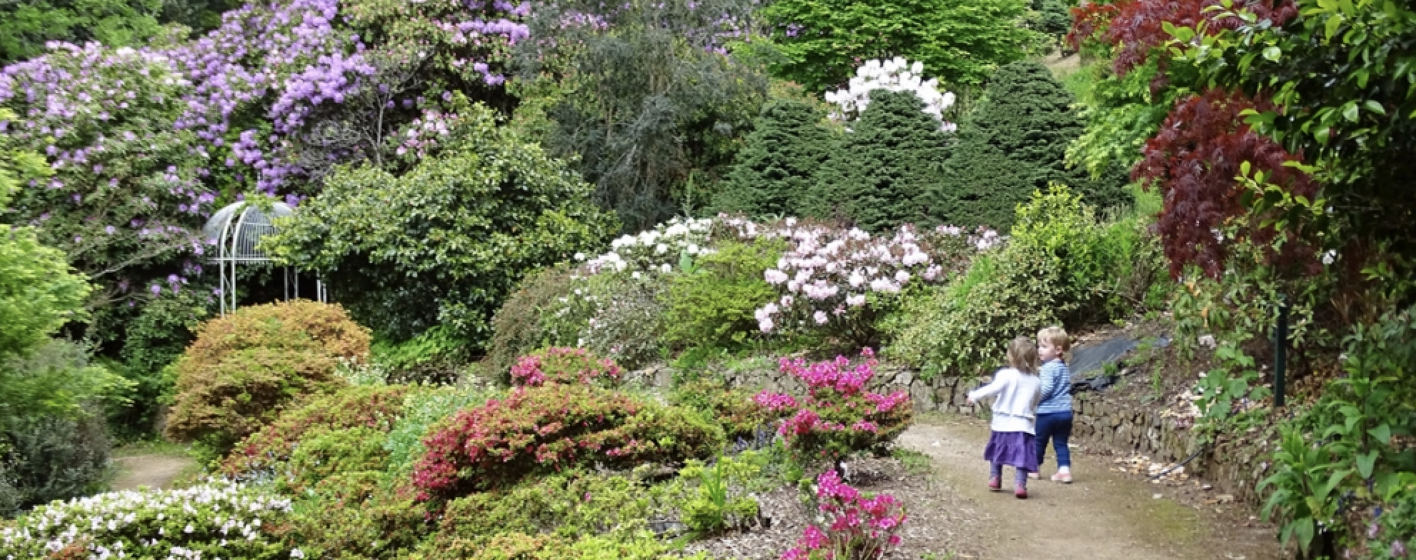 Screen shot 2019 02 20 at 10 45 58 am