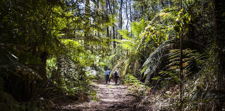 Things to do around powelltown