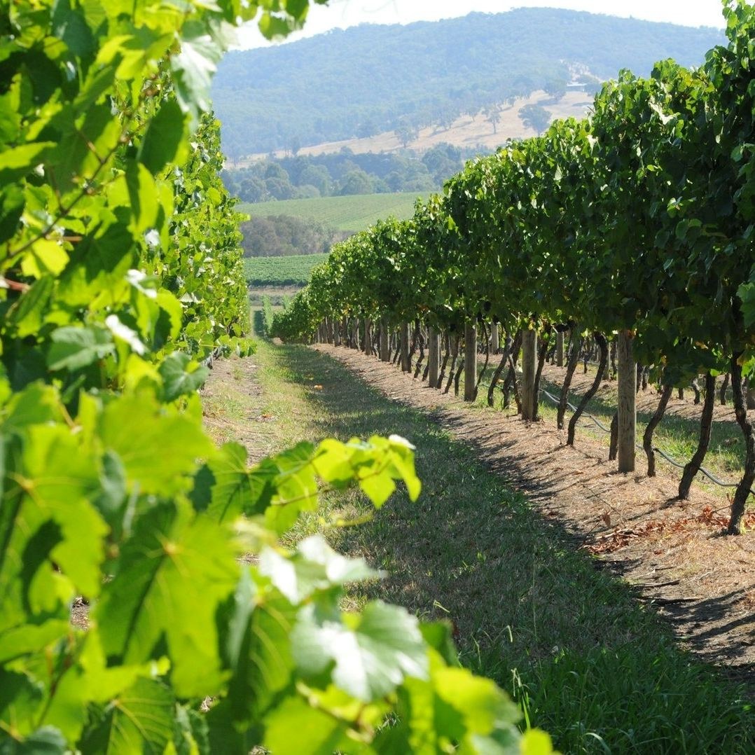 yarravalley dandenongranges