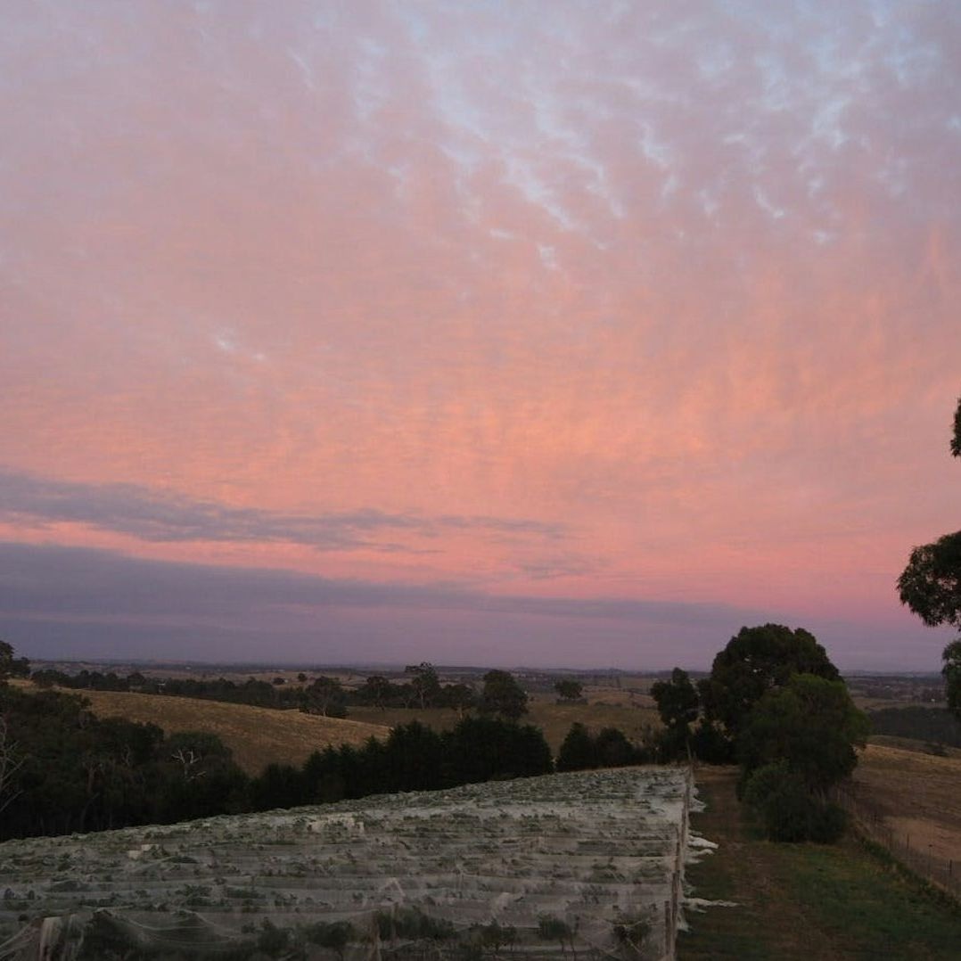 yarravalley dandenongranges