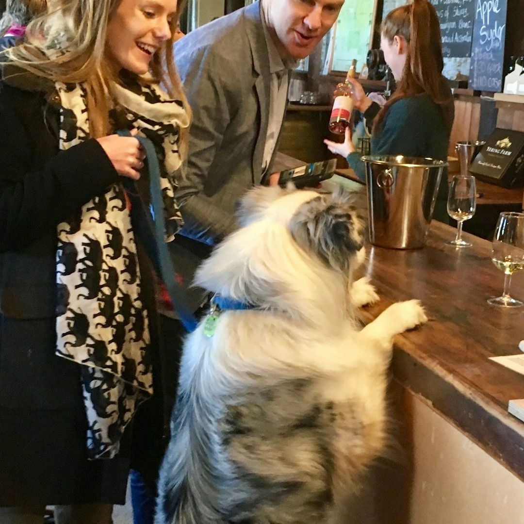 yarravalley dandenongranges