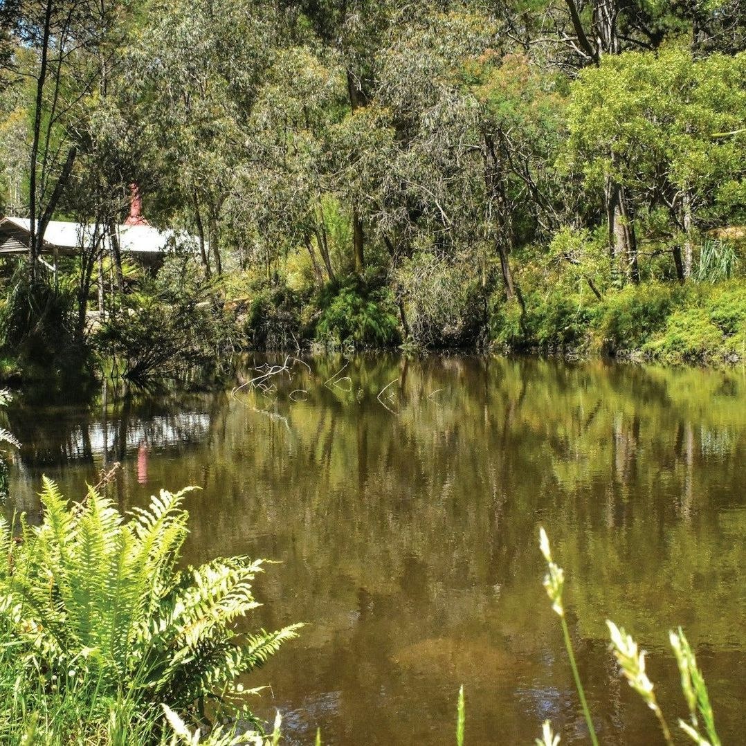 yarravalley dandenongranges