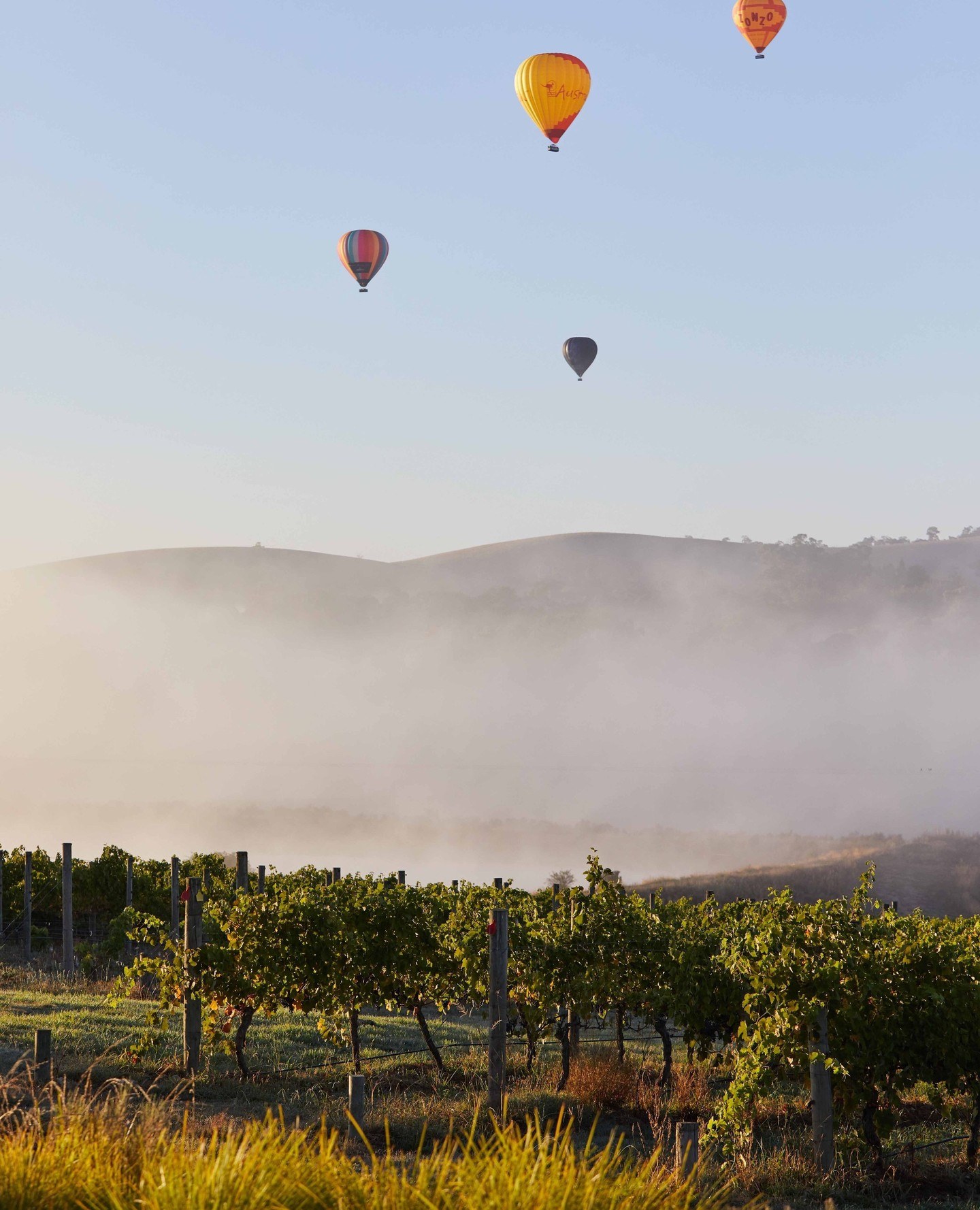 yarravalley dandenongranges