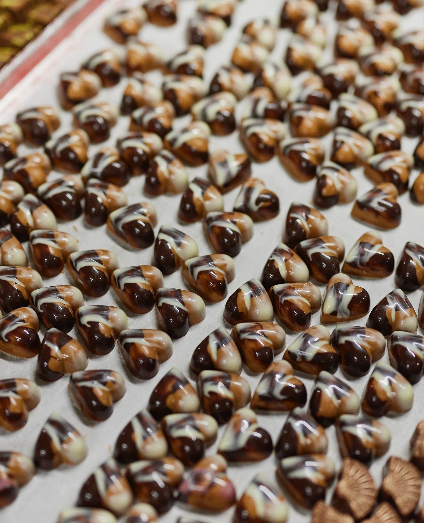 yarravalley dandenongranges