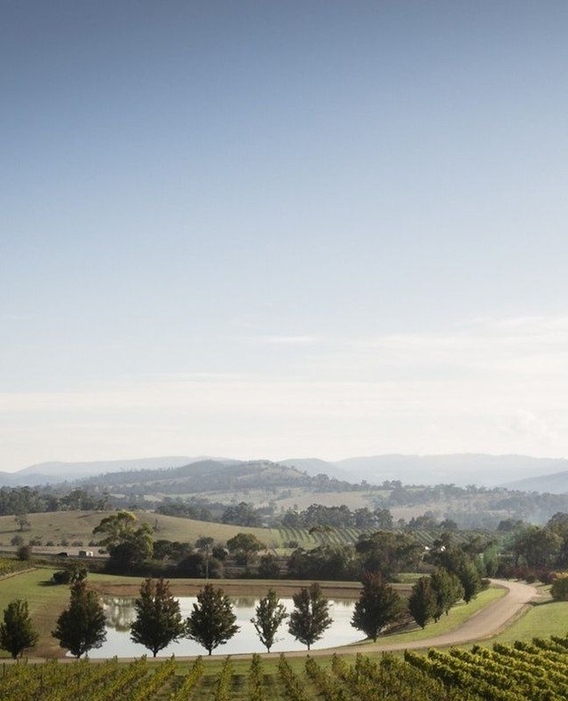yarravalley dandenongranges
