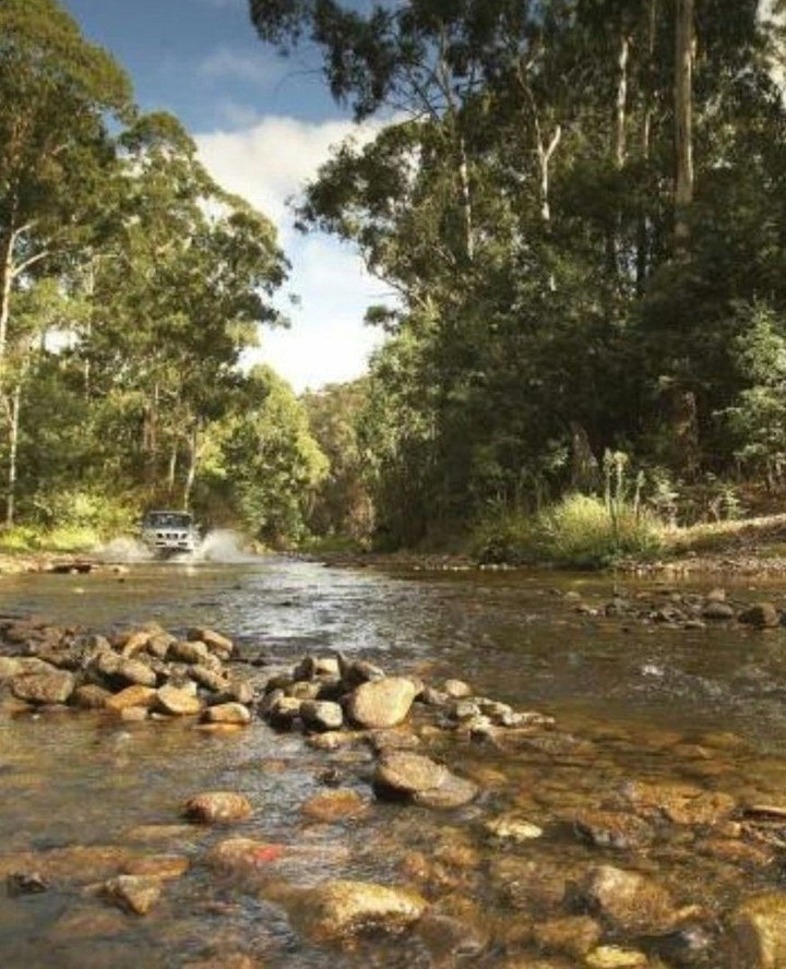 yarravalley dandenongranges