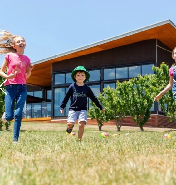 yarravalley dandenongranges