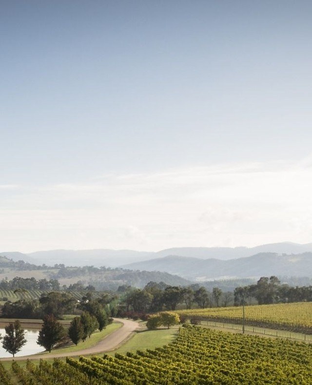 yarravalley dandenongranges