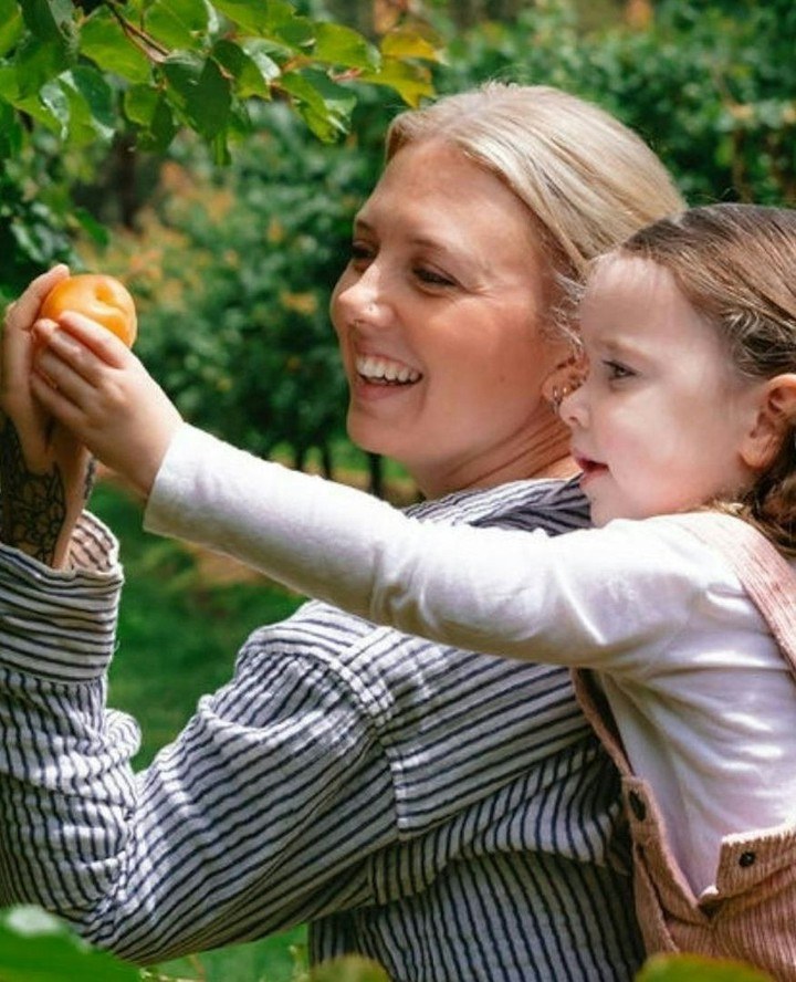 yarravalley dandenongranges