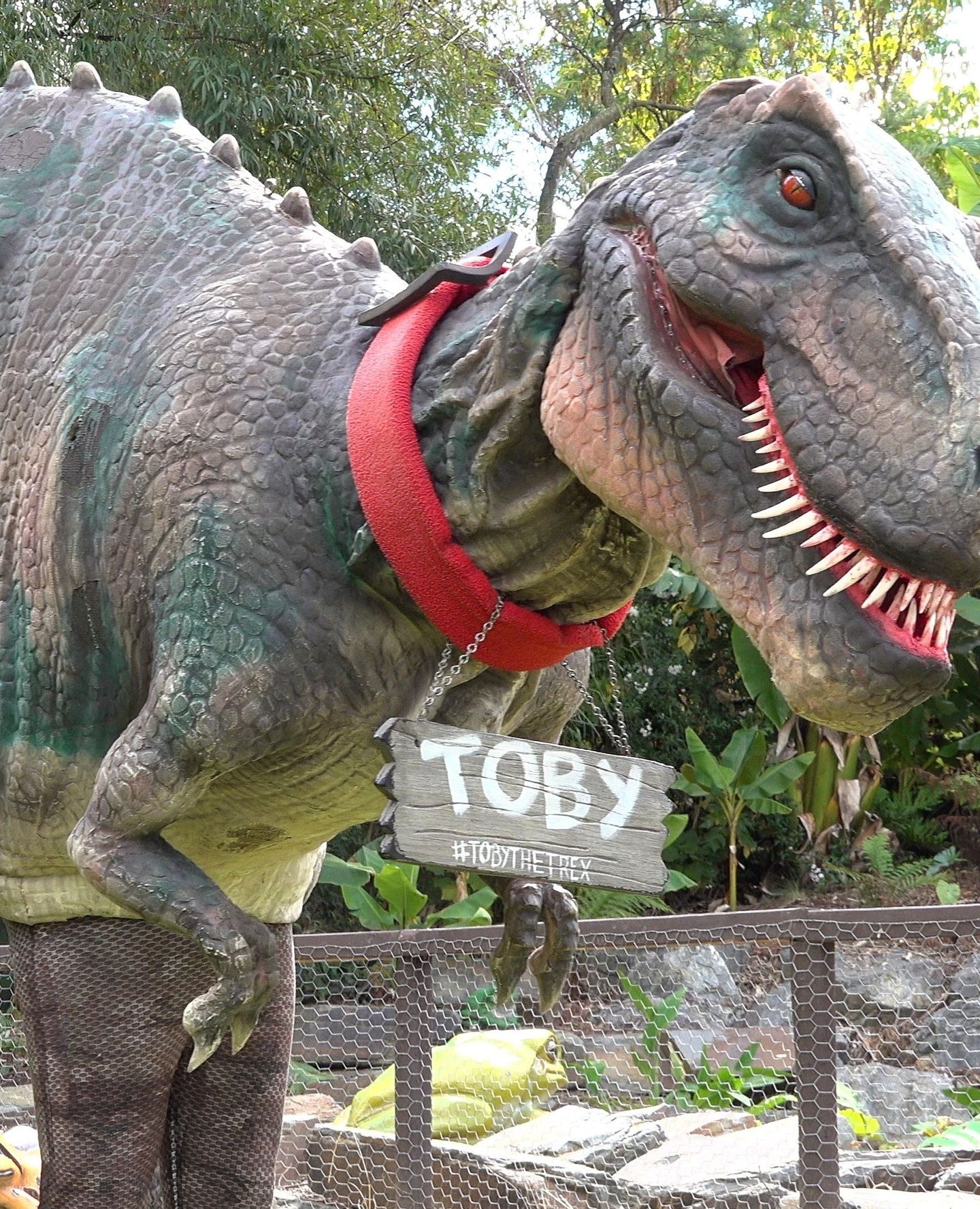 yarravalley dandenongranges