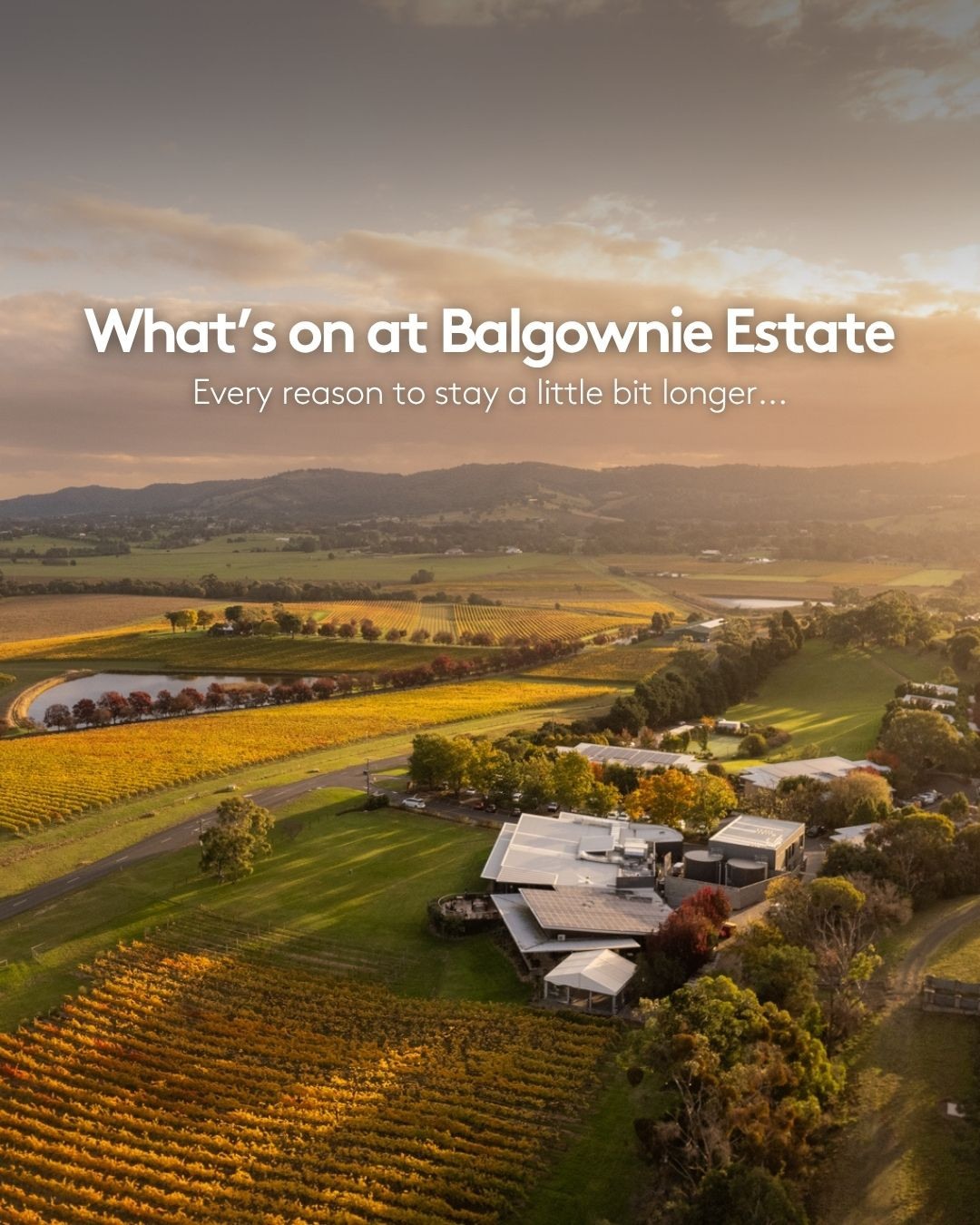 yarravalley dandenongranges