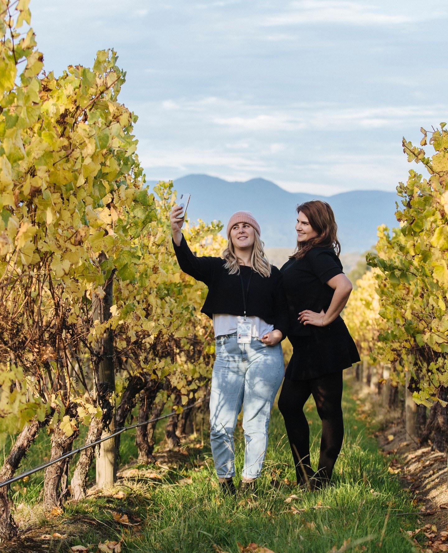 yarravalley dandenongranges