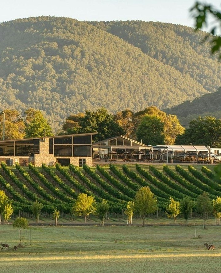 yarravalley dandenongranges