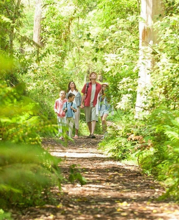 yarravalley dandenongranges