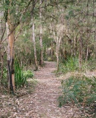 yarravalley dandenongranges