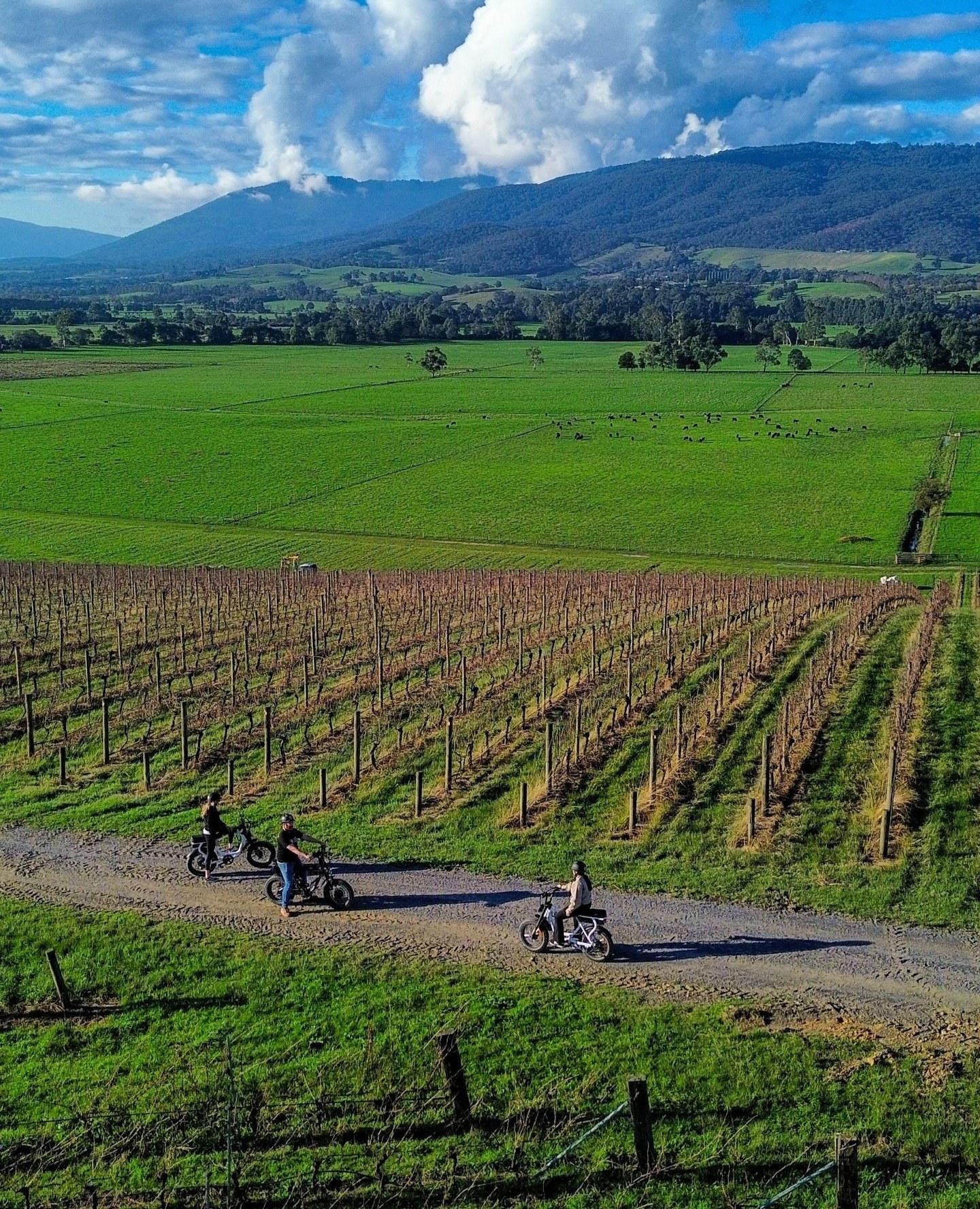 yarravalley dandenongranges