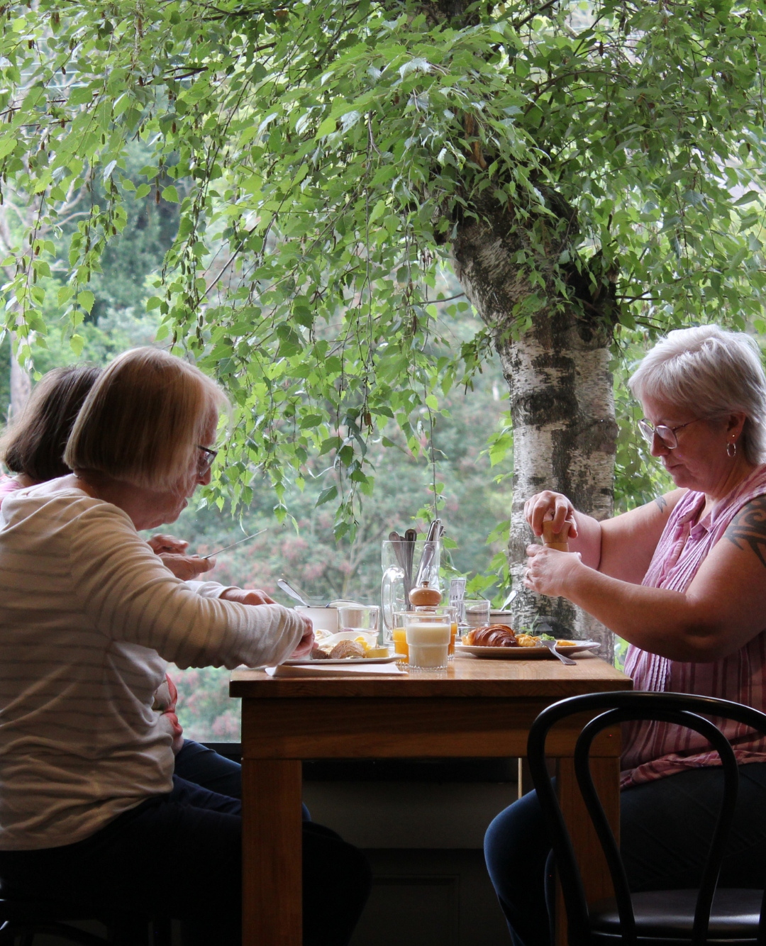 yarravalley dandenongranges
