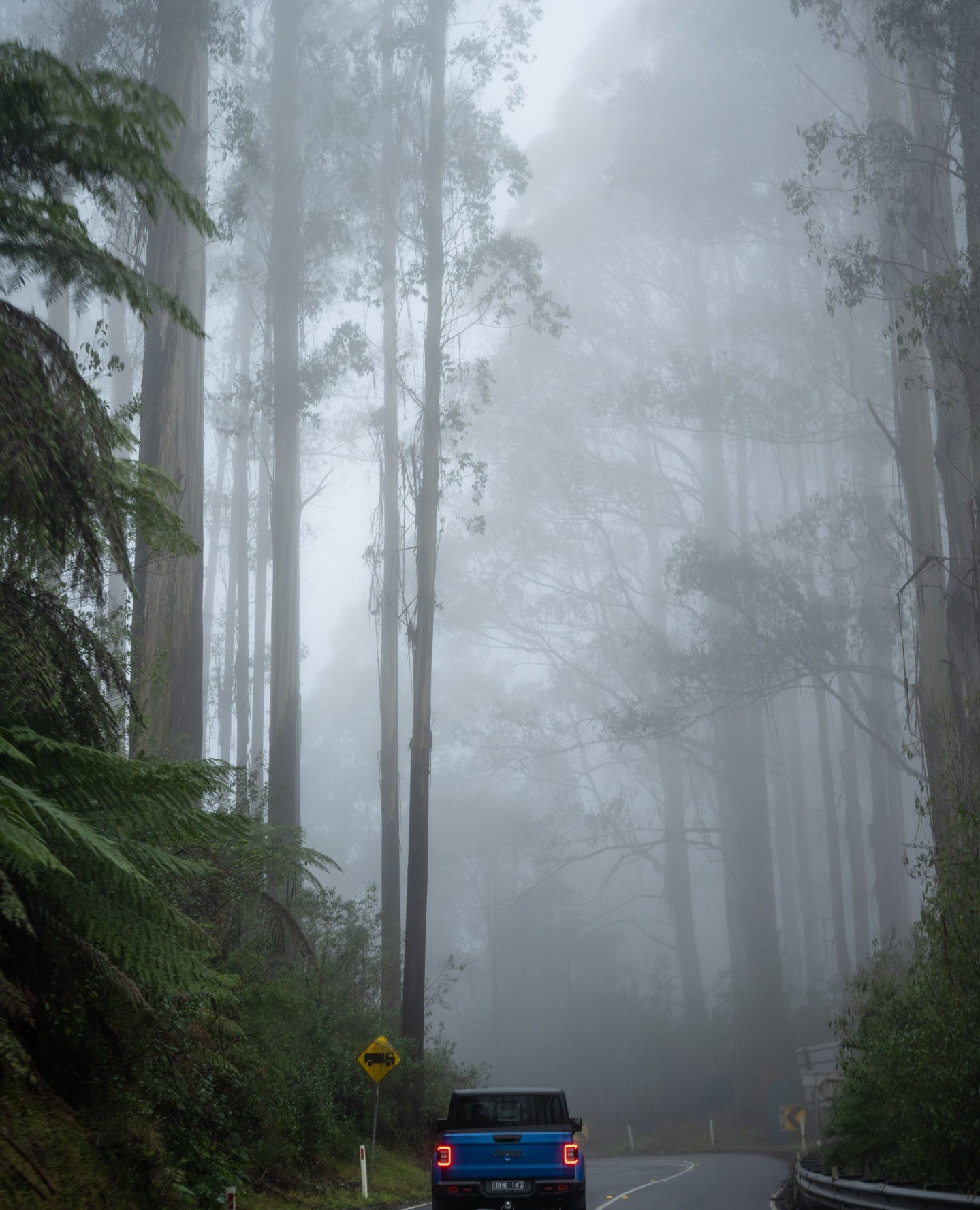yarravalley dandenongranges