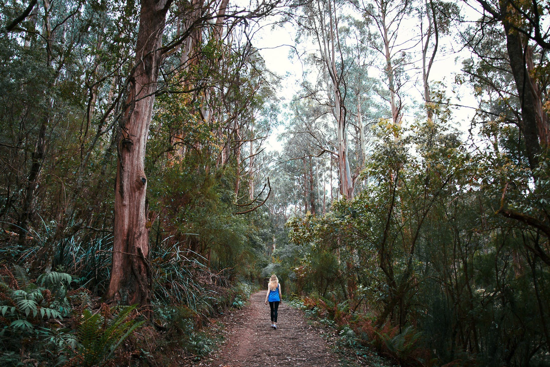 00162Dc9Ebebc45207Bfd92Caa50C9D4