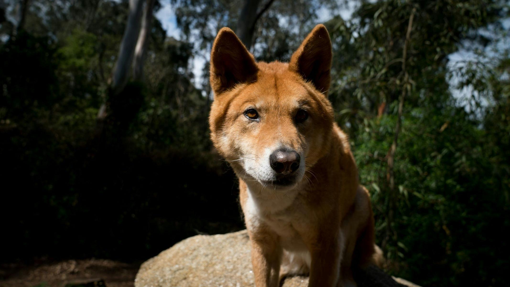 002Fd234Ea189A368Fefa7Ff666Dbad5