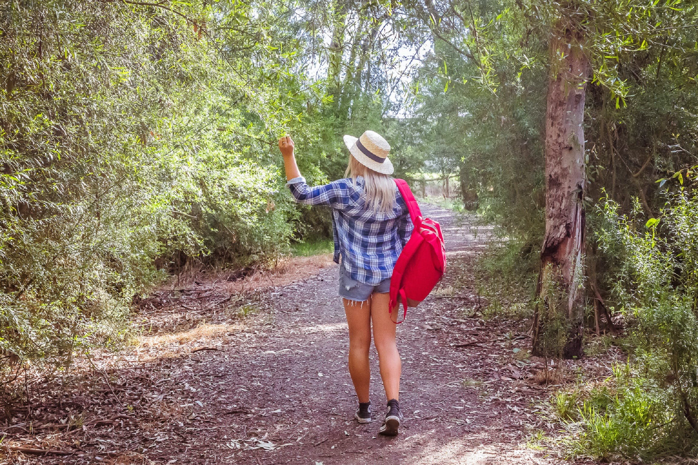 0155E49Ad1803A3B87B101C4B190Df24