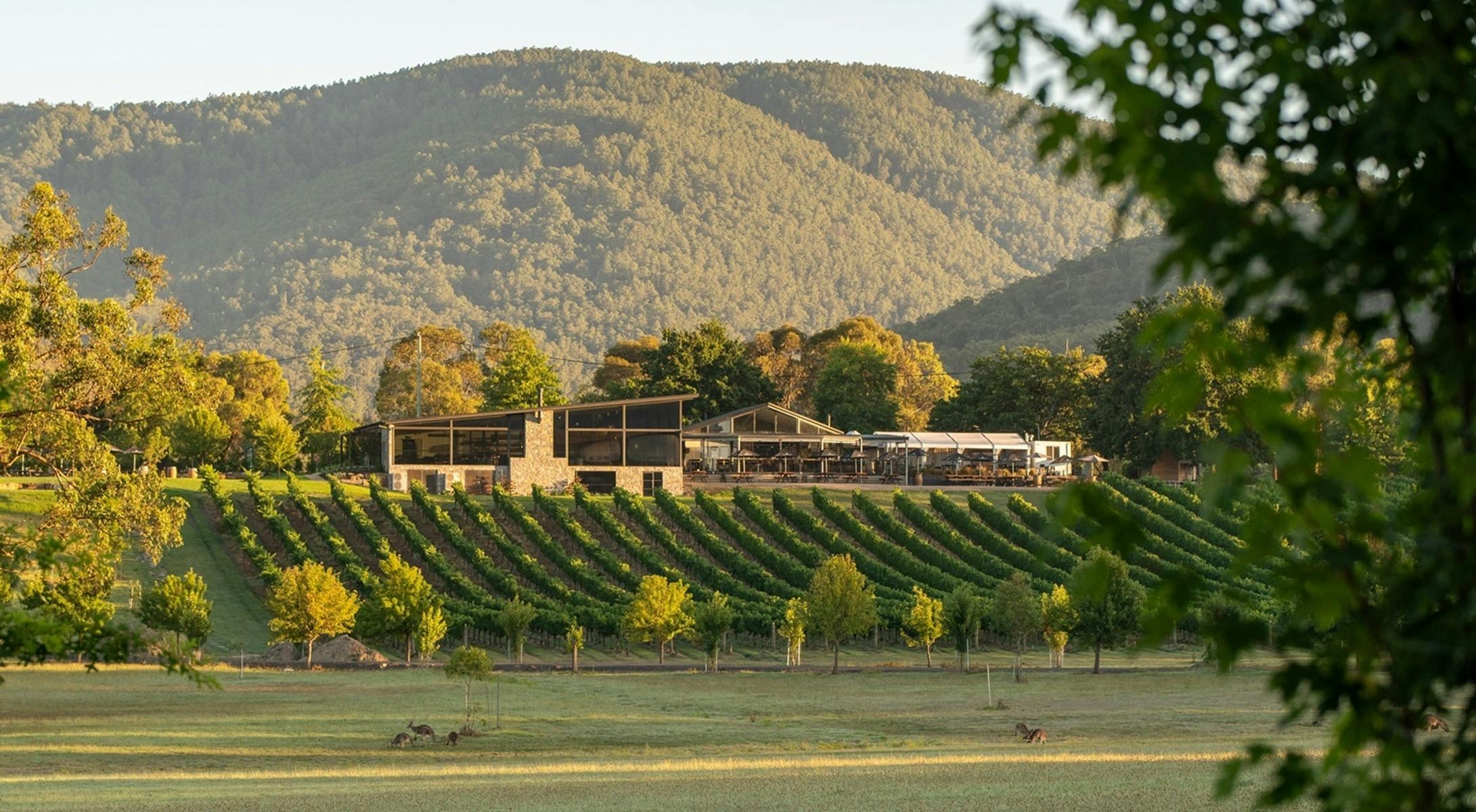 04D6231126Ae6C9D50De2E5Bebef877F