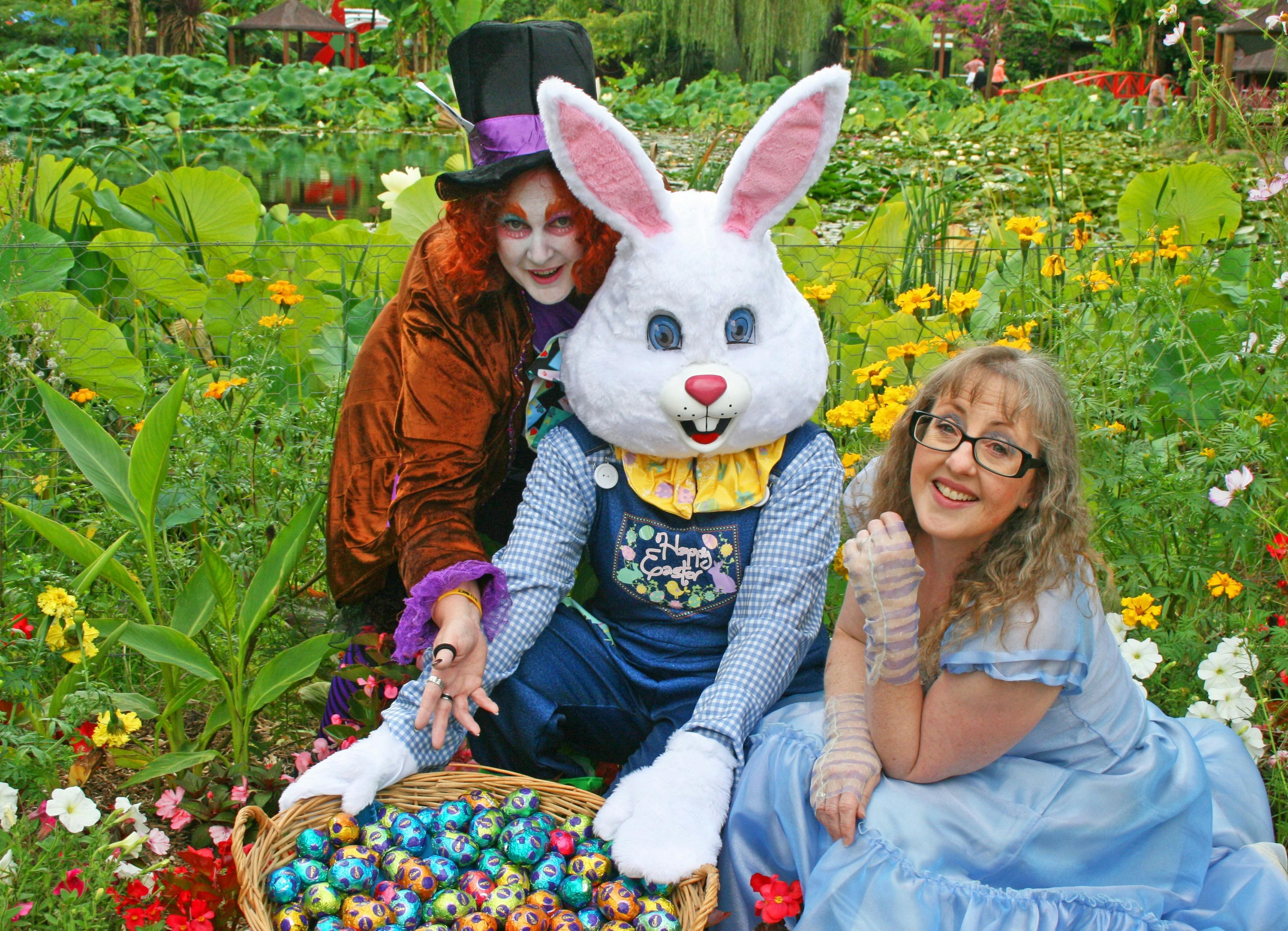 04Fb3A35E8E84C584F98631319D5E643