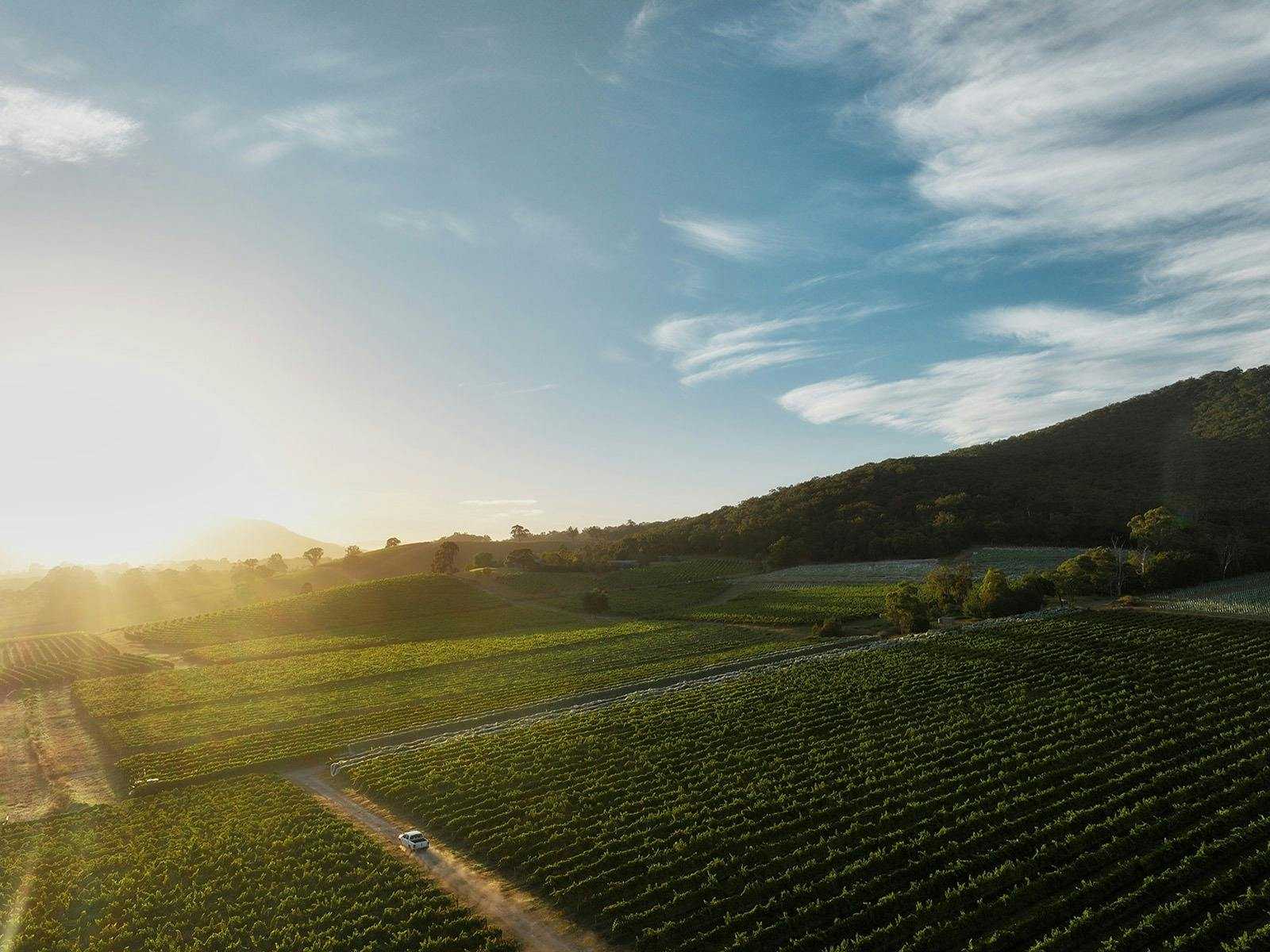 05F71990E56Eec4C9C152D8Dea627F54