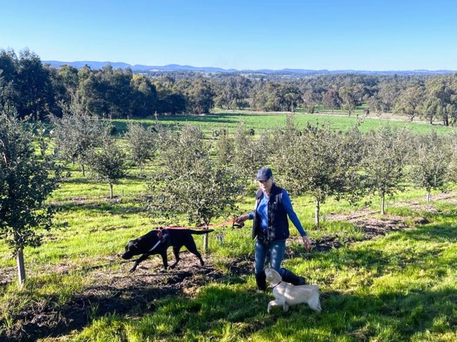 062Ae6C4Fad6B5C480B73B7F0Cb81Daf