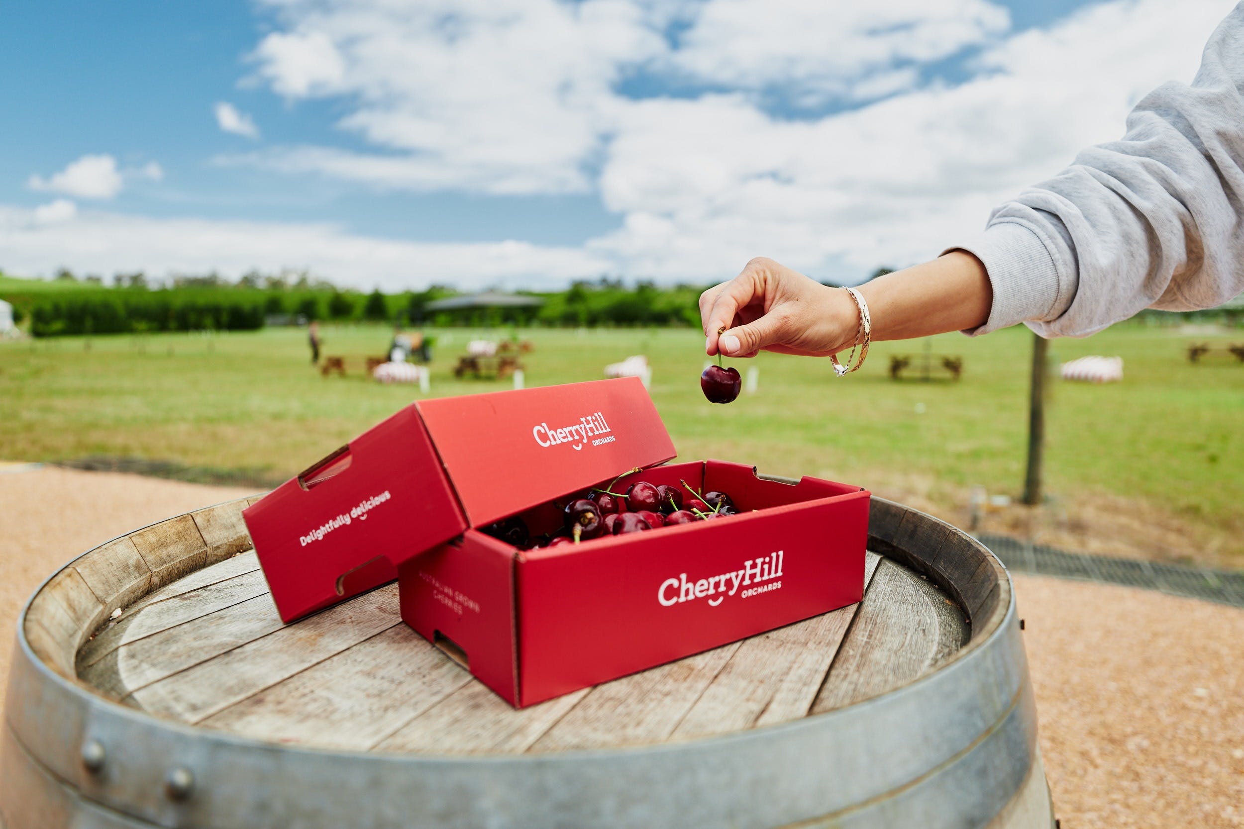 07A22Ac3472Abc7987C130B81807A305