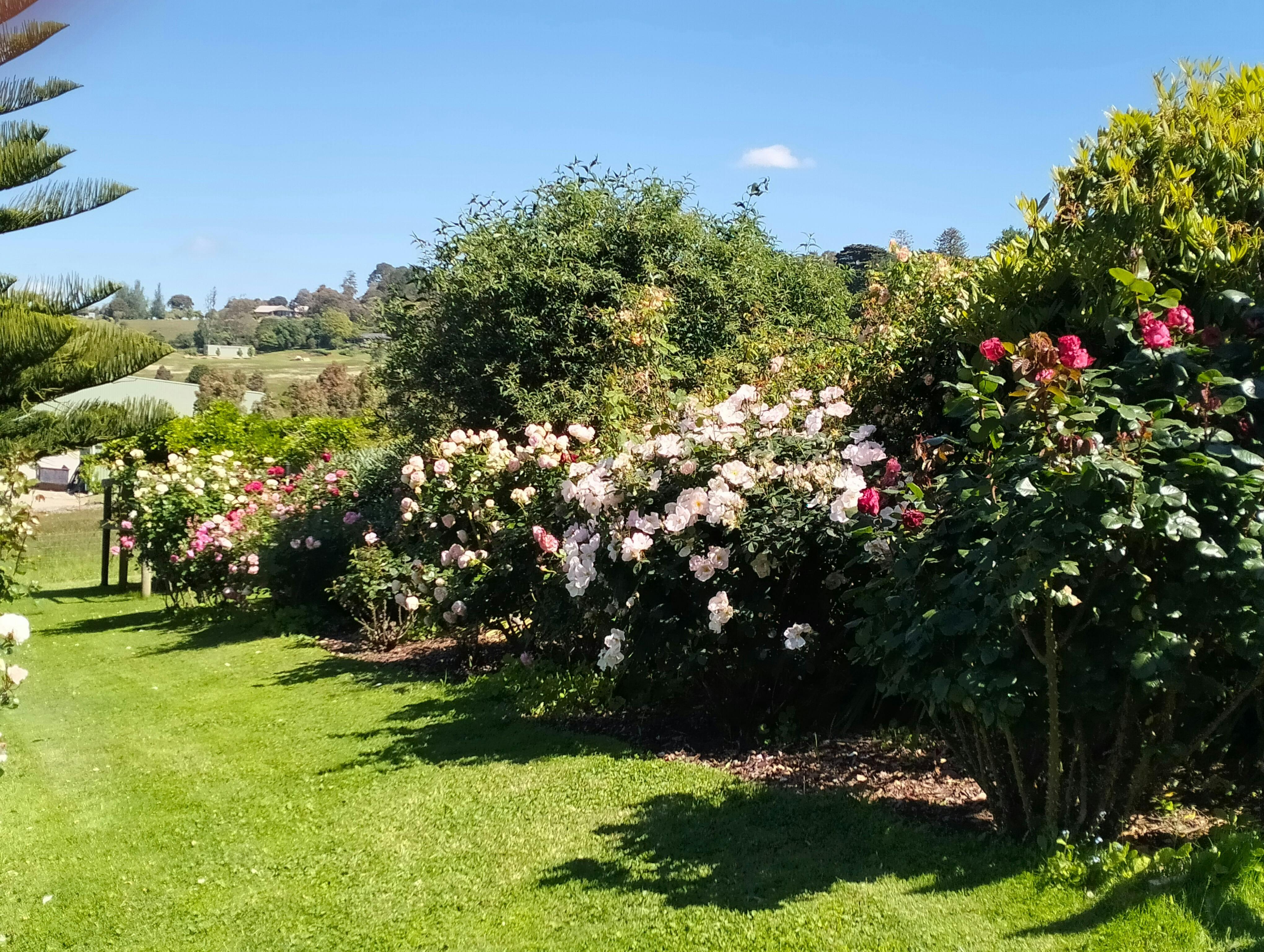 07Cf0186Ea1Fd7B80437F399Fa5706A9