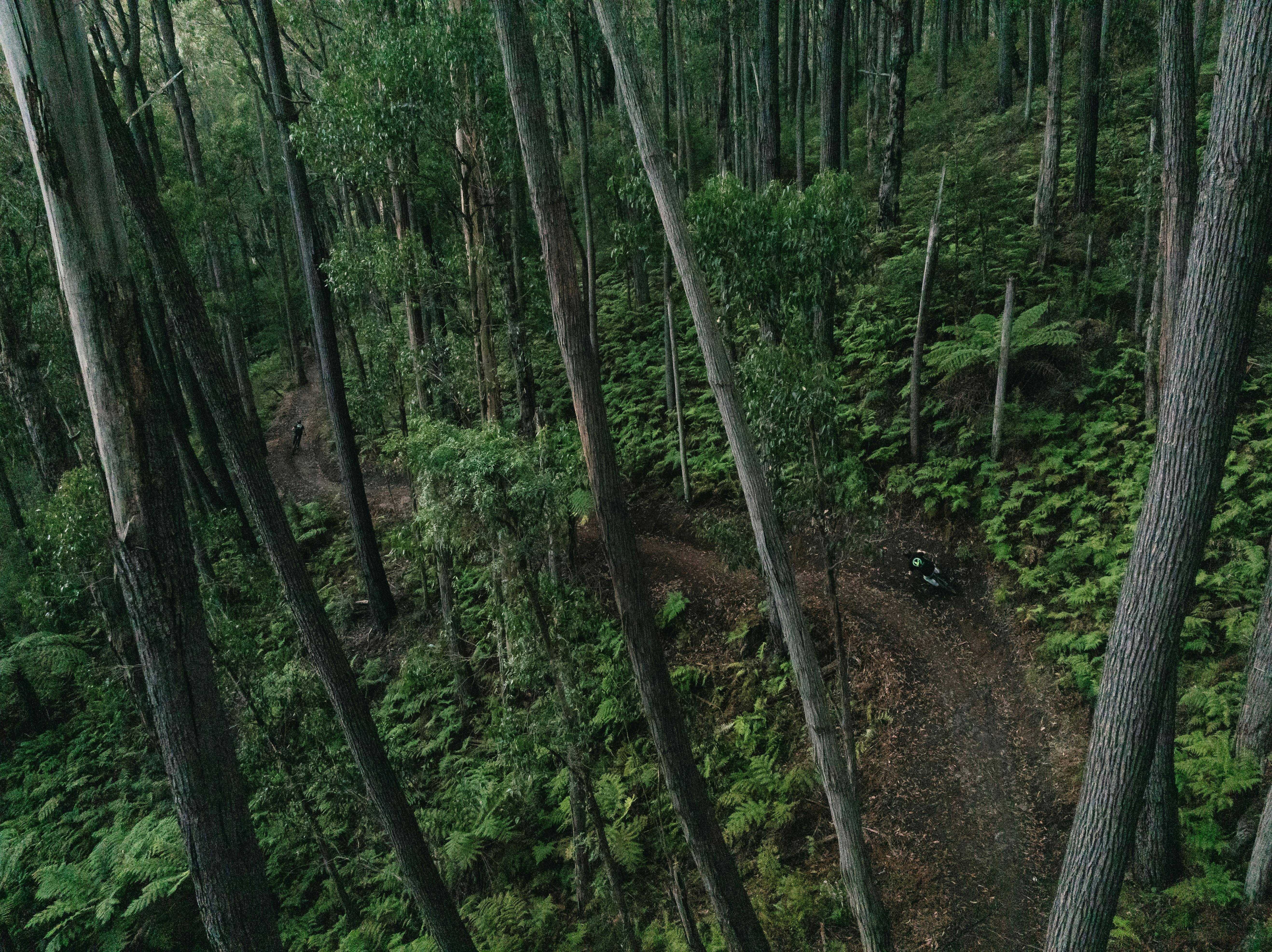 08C6F2601836B31C98F8853E90Dd1Beb