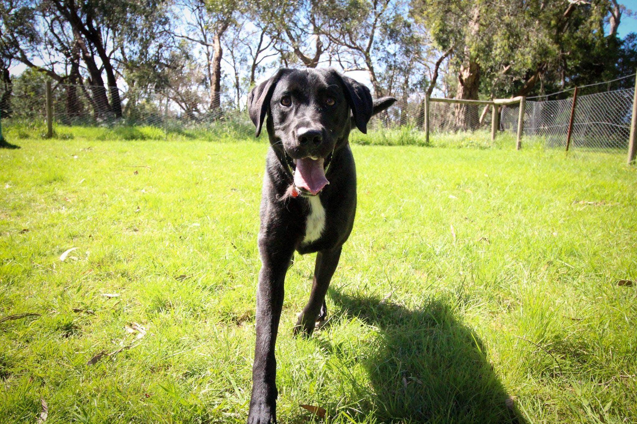 09Fea60C104Fb2D3F934973F25887678