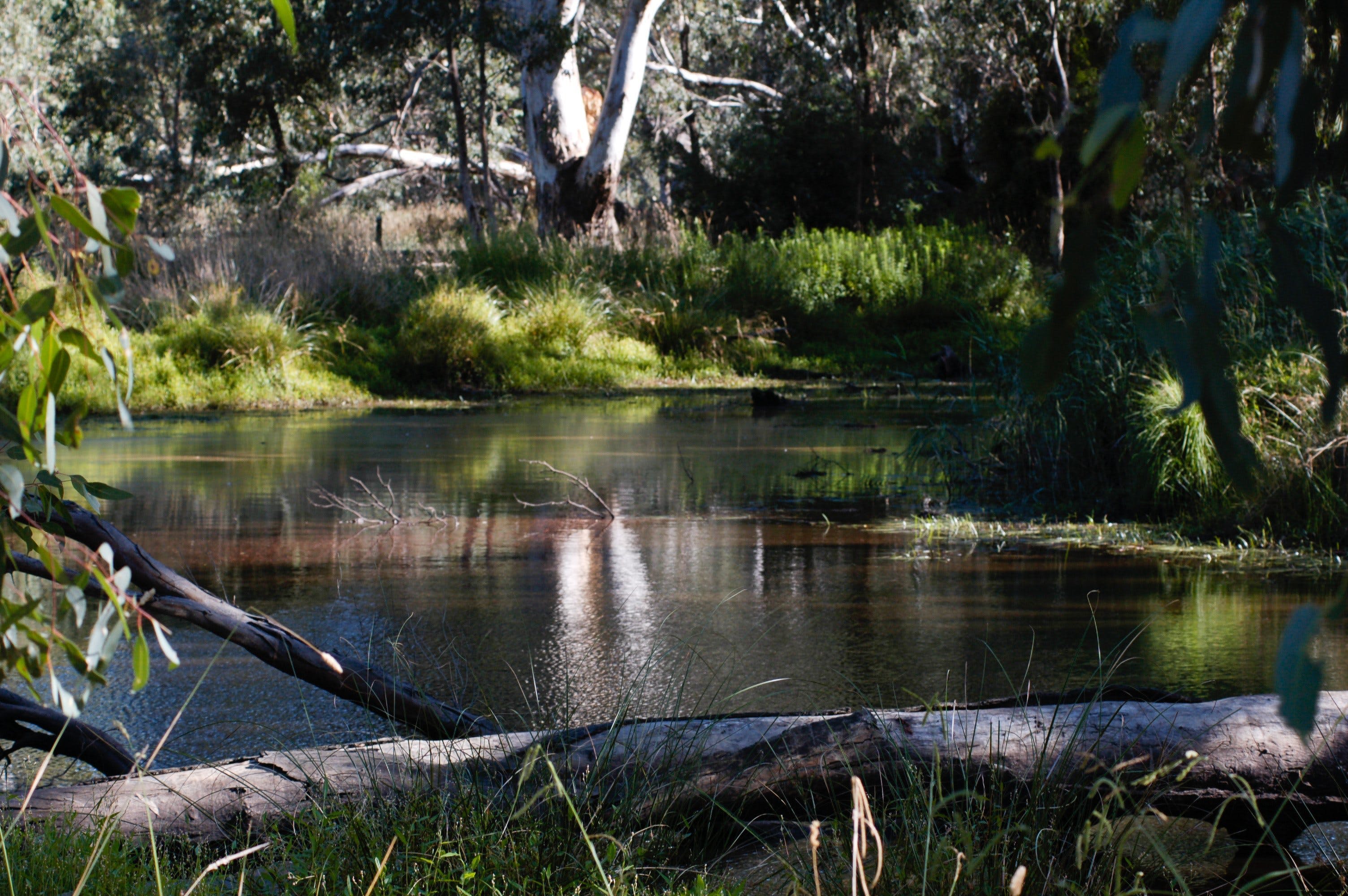 0Aa65A6A7Ef2879F8049Dea848D0285B