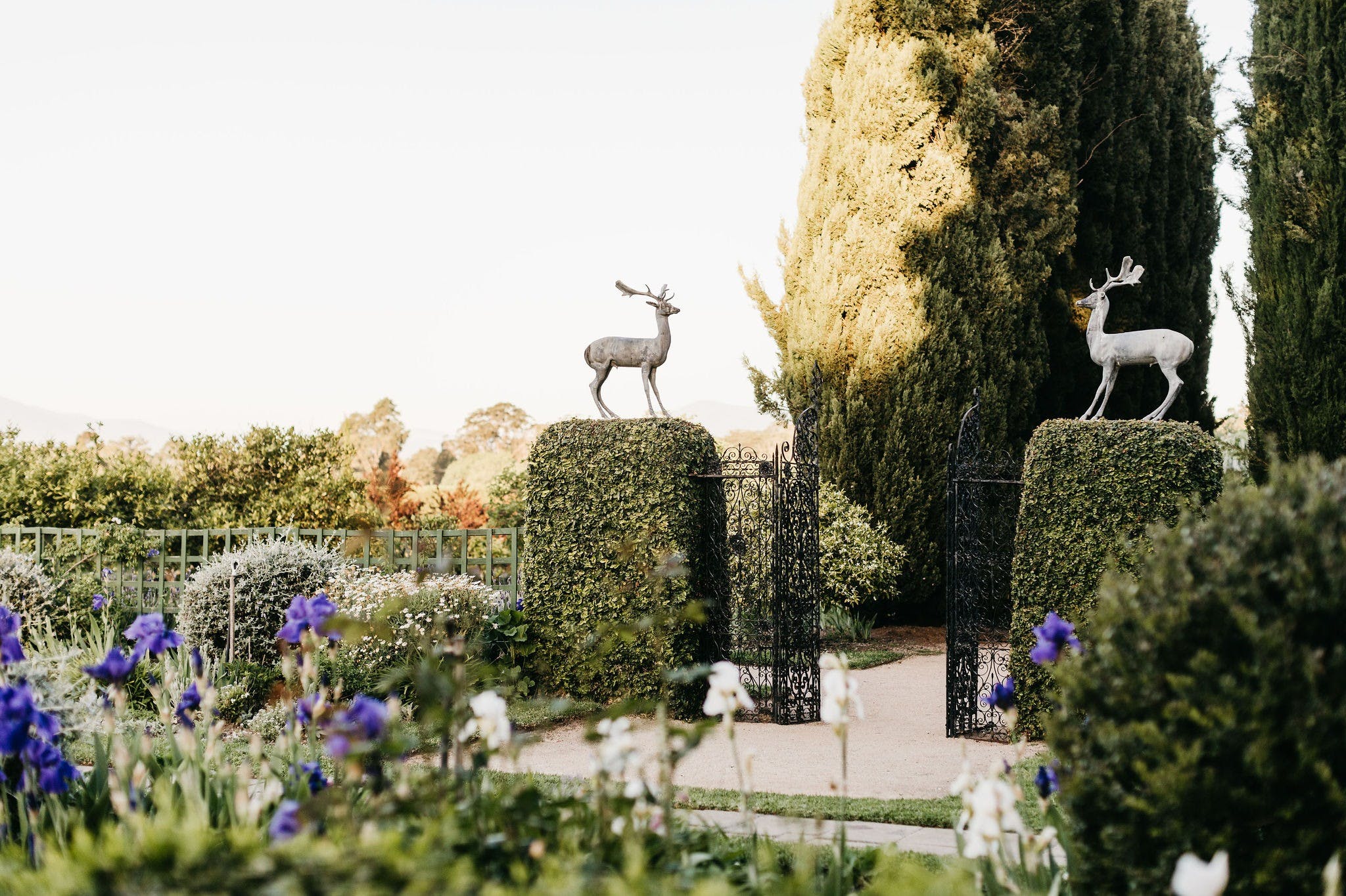 0C4Bcbd6391Ce83F6Fd40Cb3Fa94Aaaa