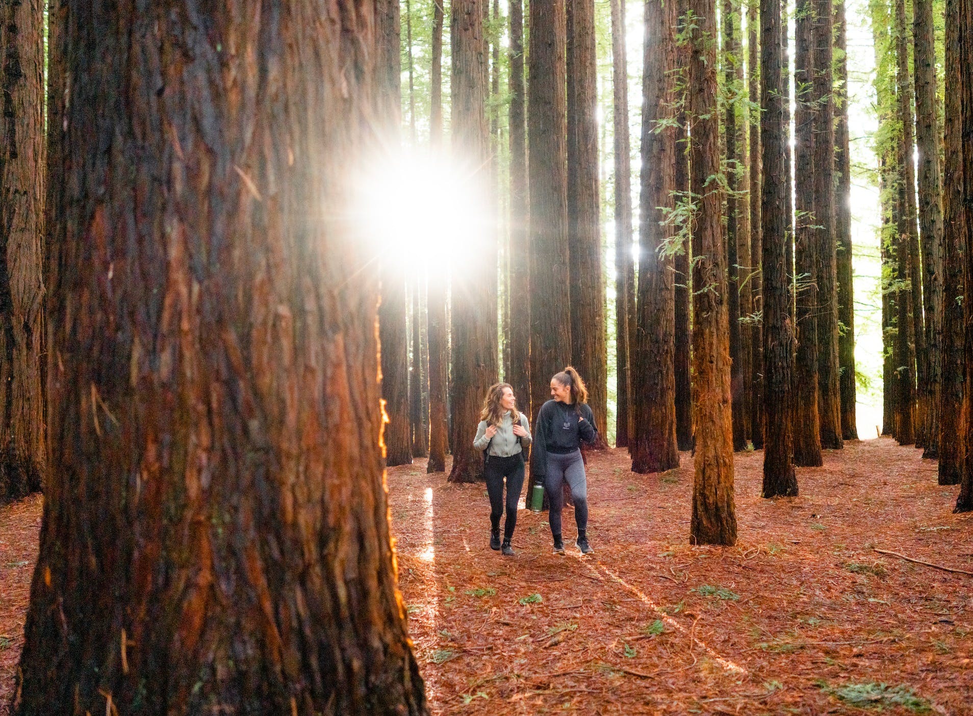 0C8Cc69357Dc03F1C673044F03766B76