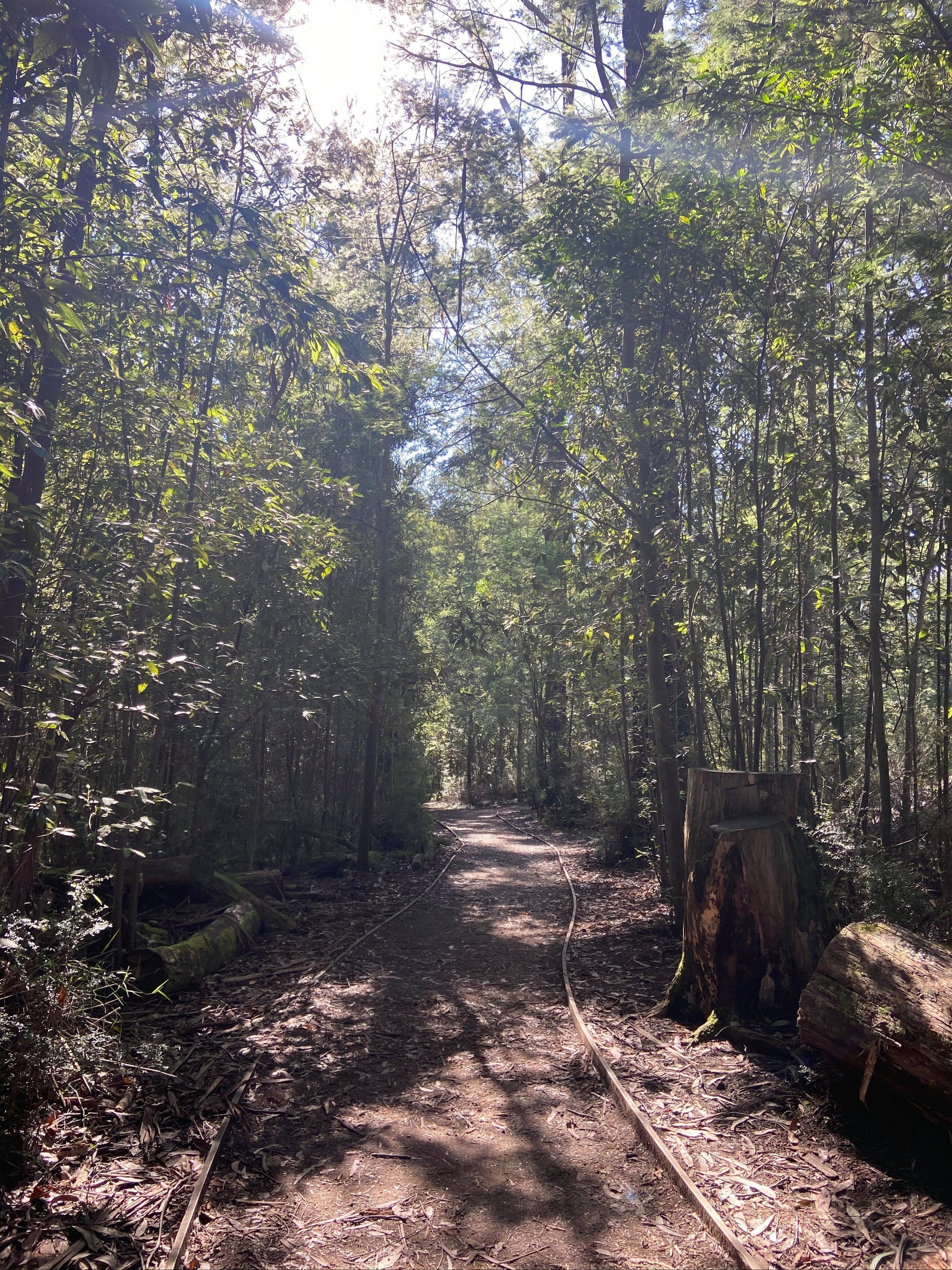 0Cc1501Eed9A0B722Fa1A3434D6Fe355