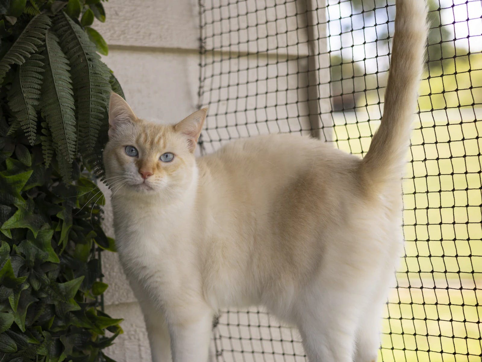 0D275619C44A5F873A29D101B1Ebfbfe