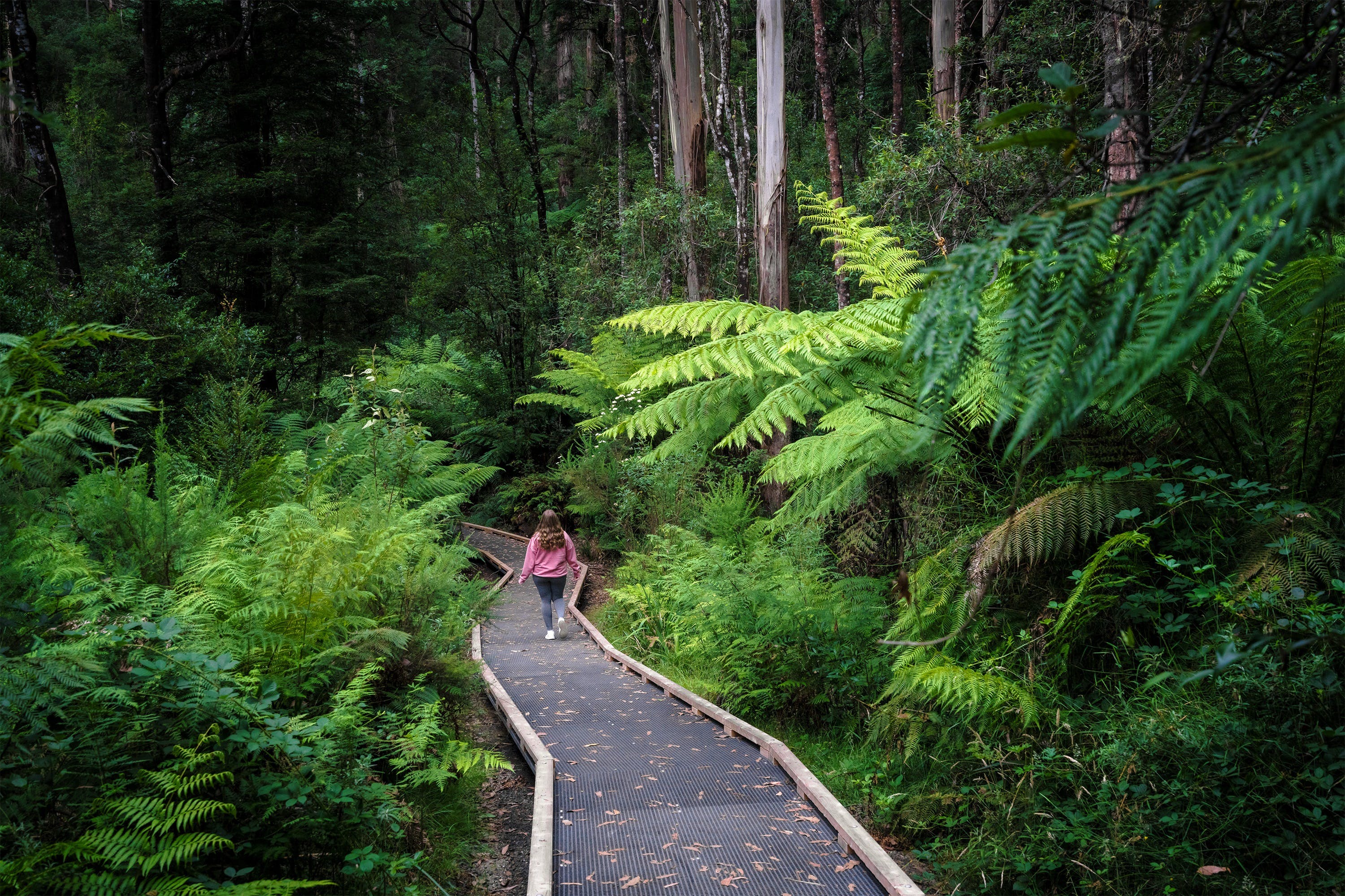 0D605Fbcee17Dcd5F9Bcf6E3C3052D46