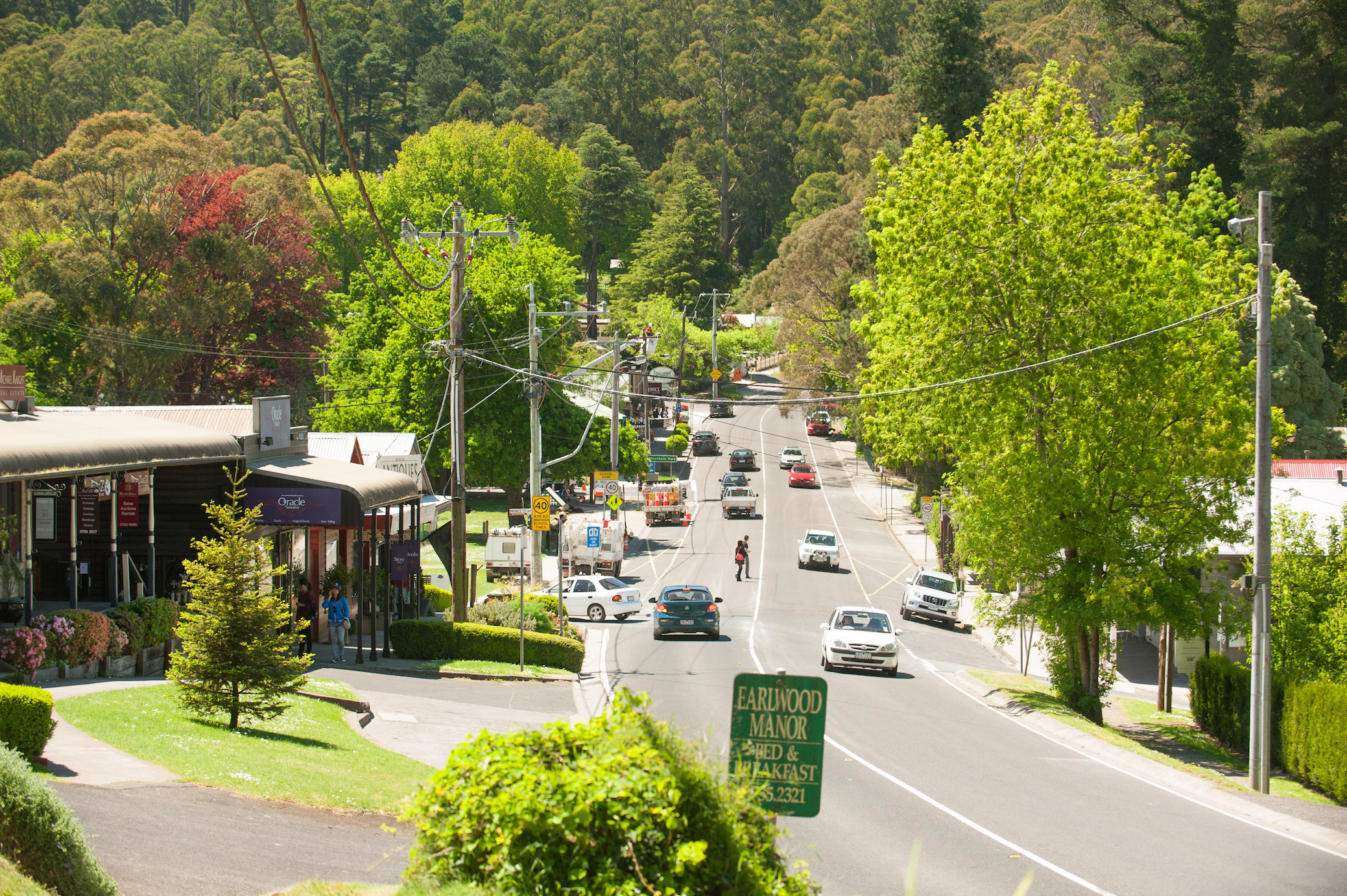 1 in 20 sassfras village