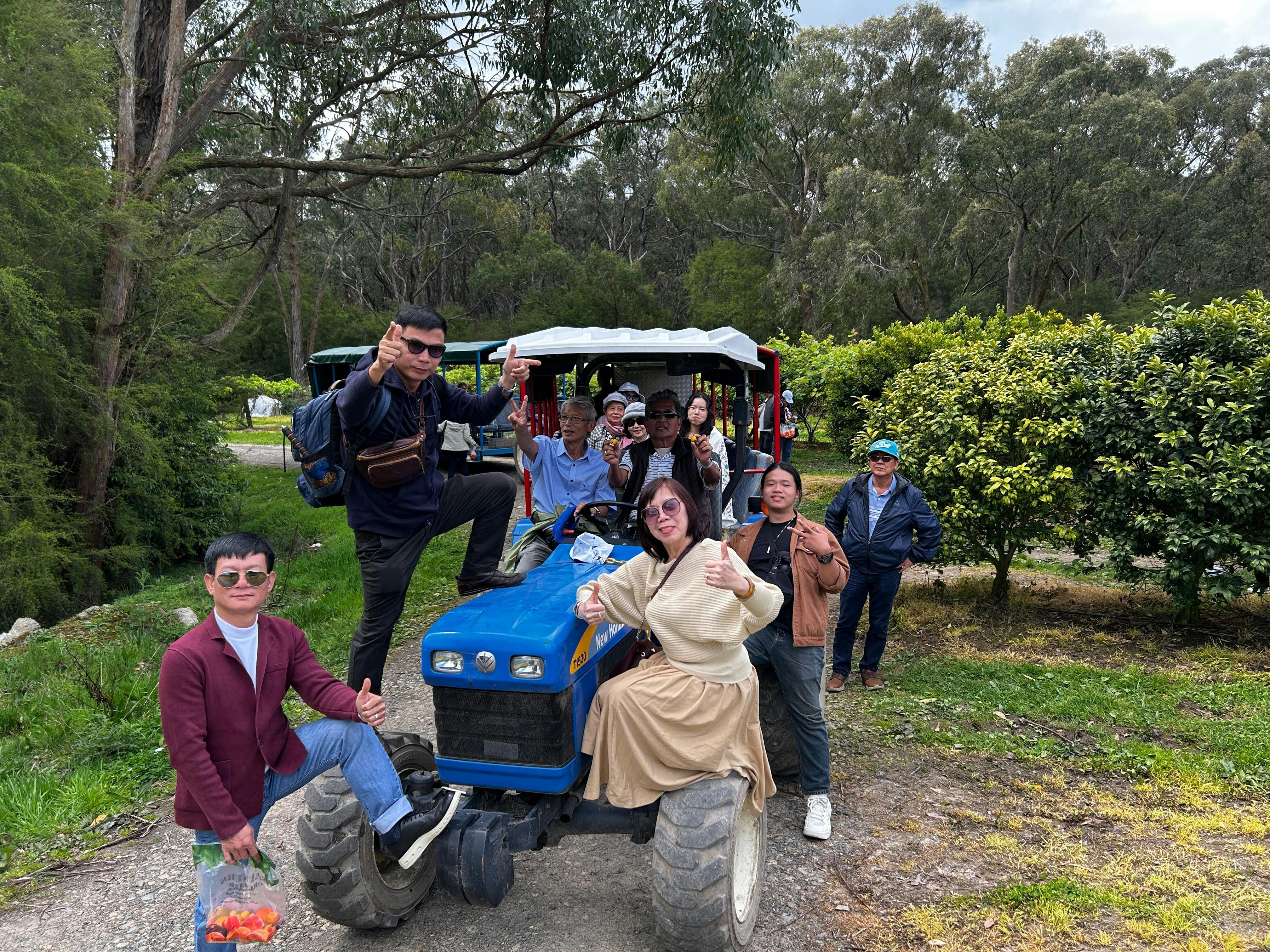 109F3952F5970Cccdb0D7B0260188F51