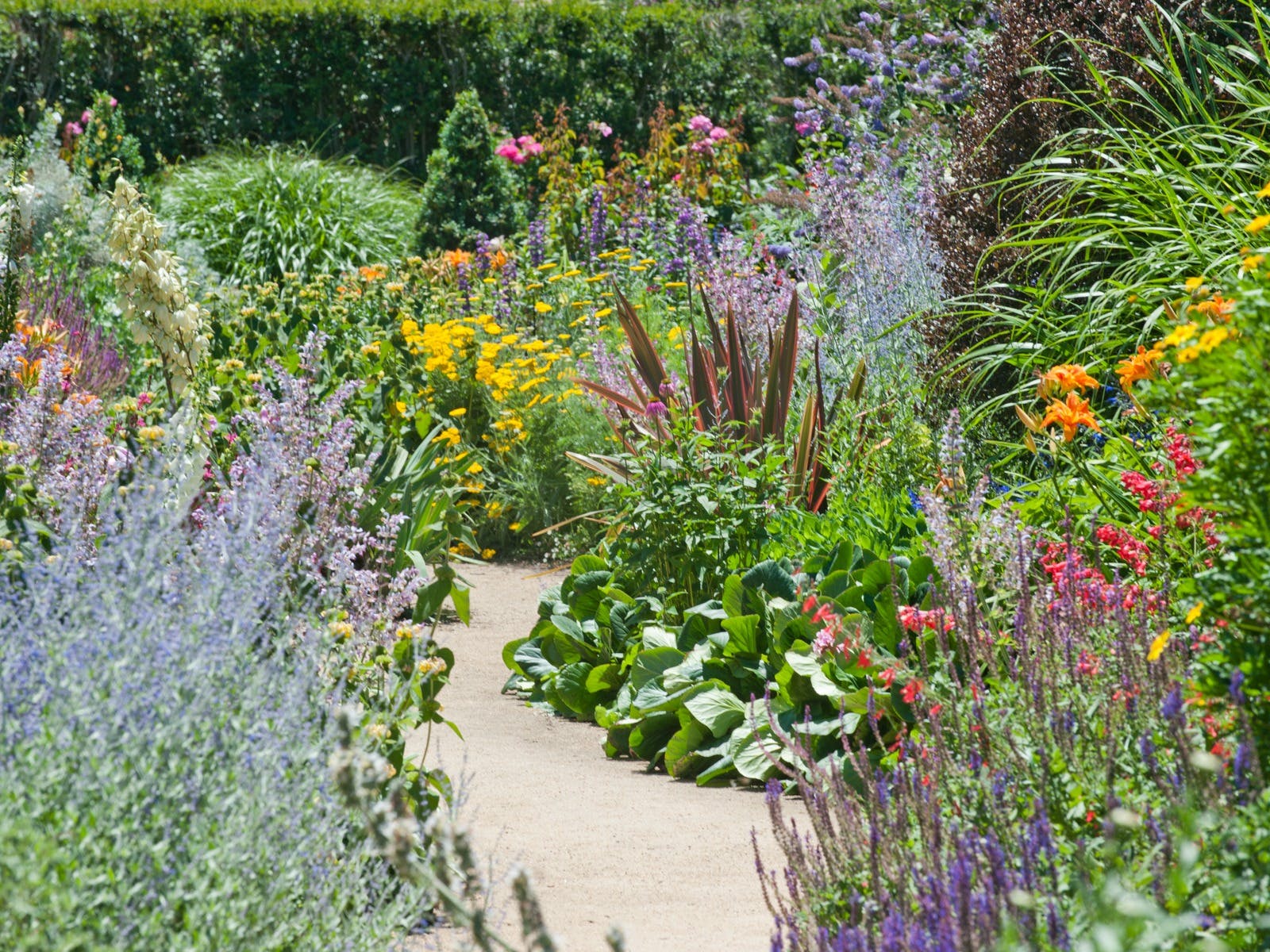 14E4D154844879D0Bb07Dede48F466D8