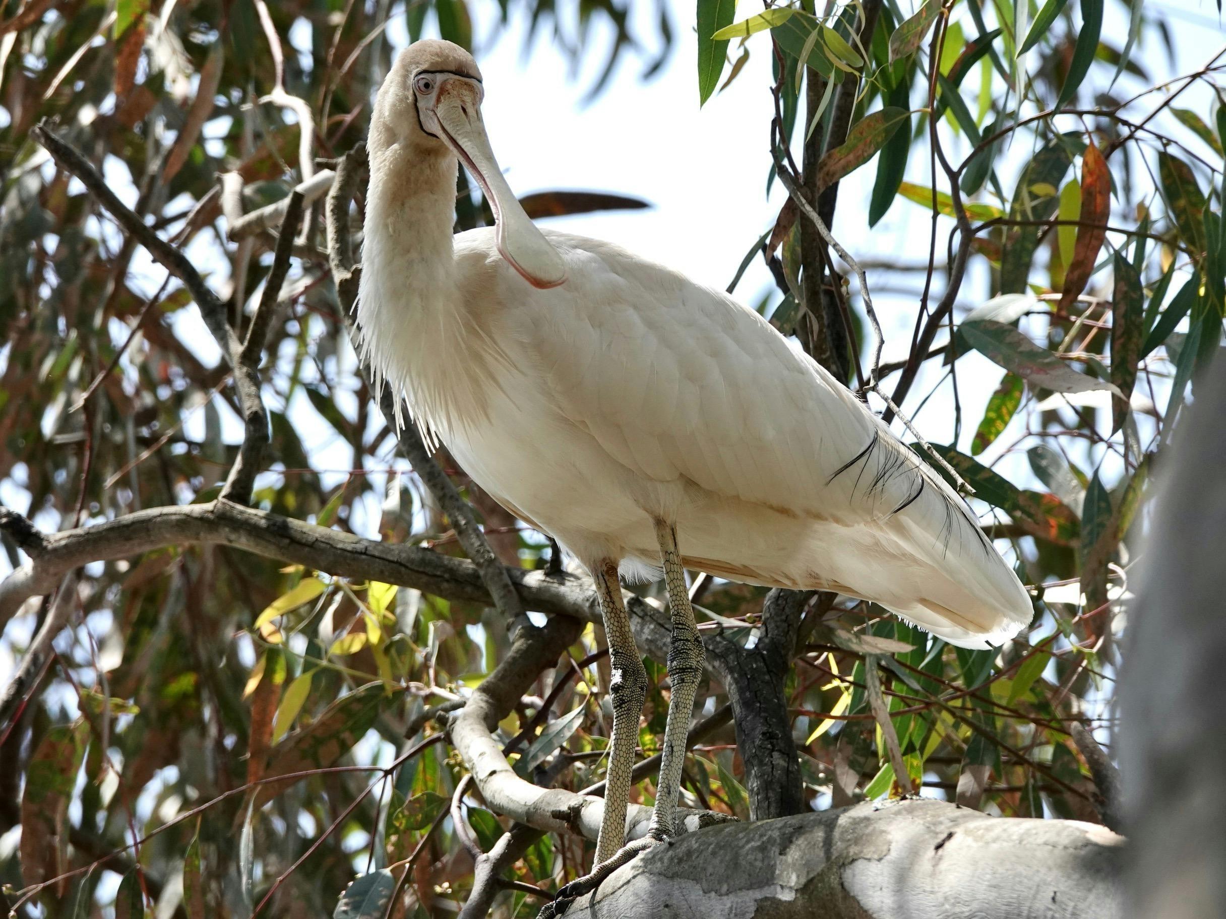 15265C78C8D1D25402F2A061Ccda3573