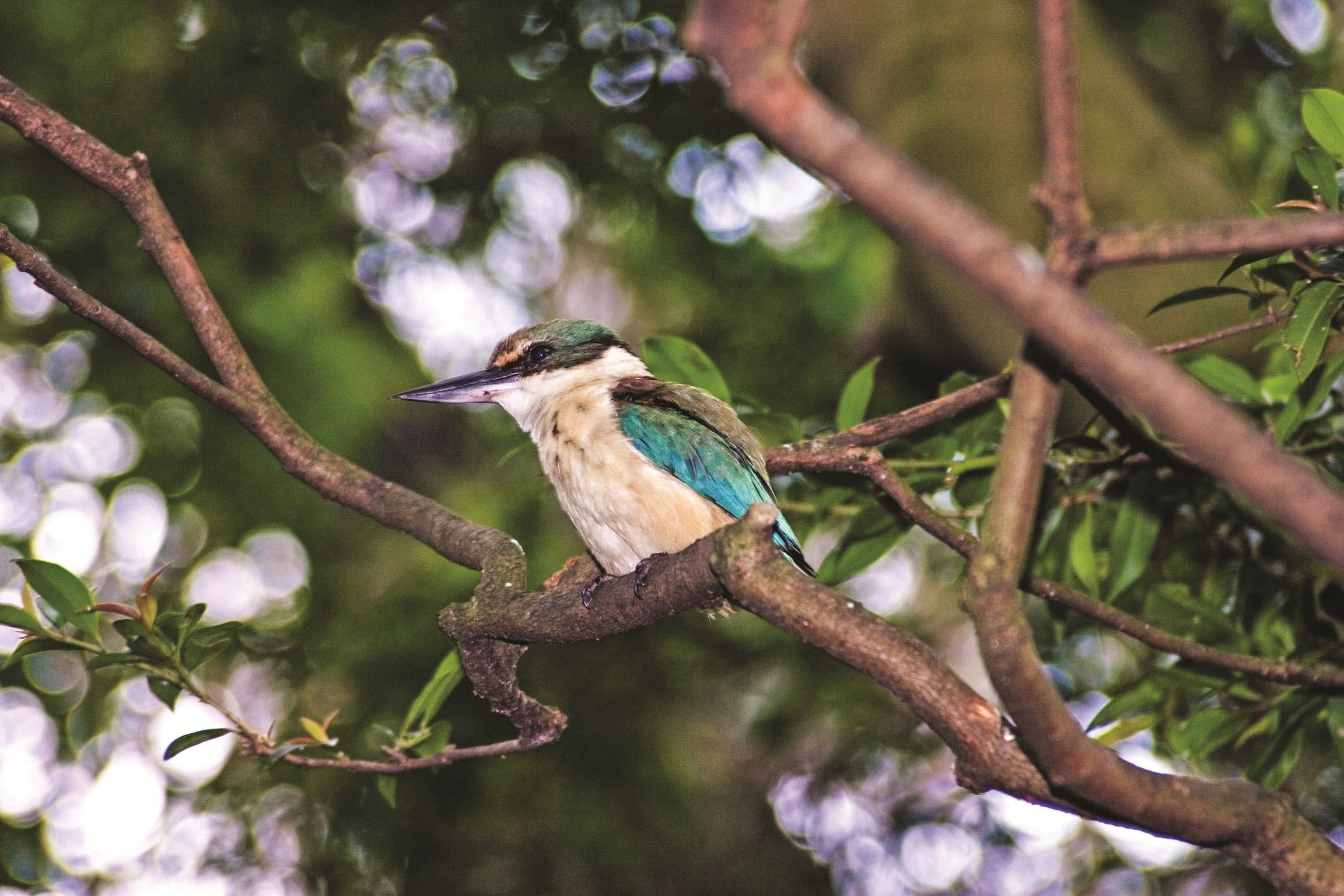 158Dcfa9A181A69C86Dda7Abbd6C3A1D