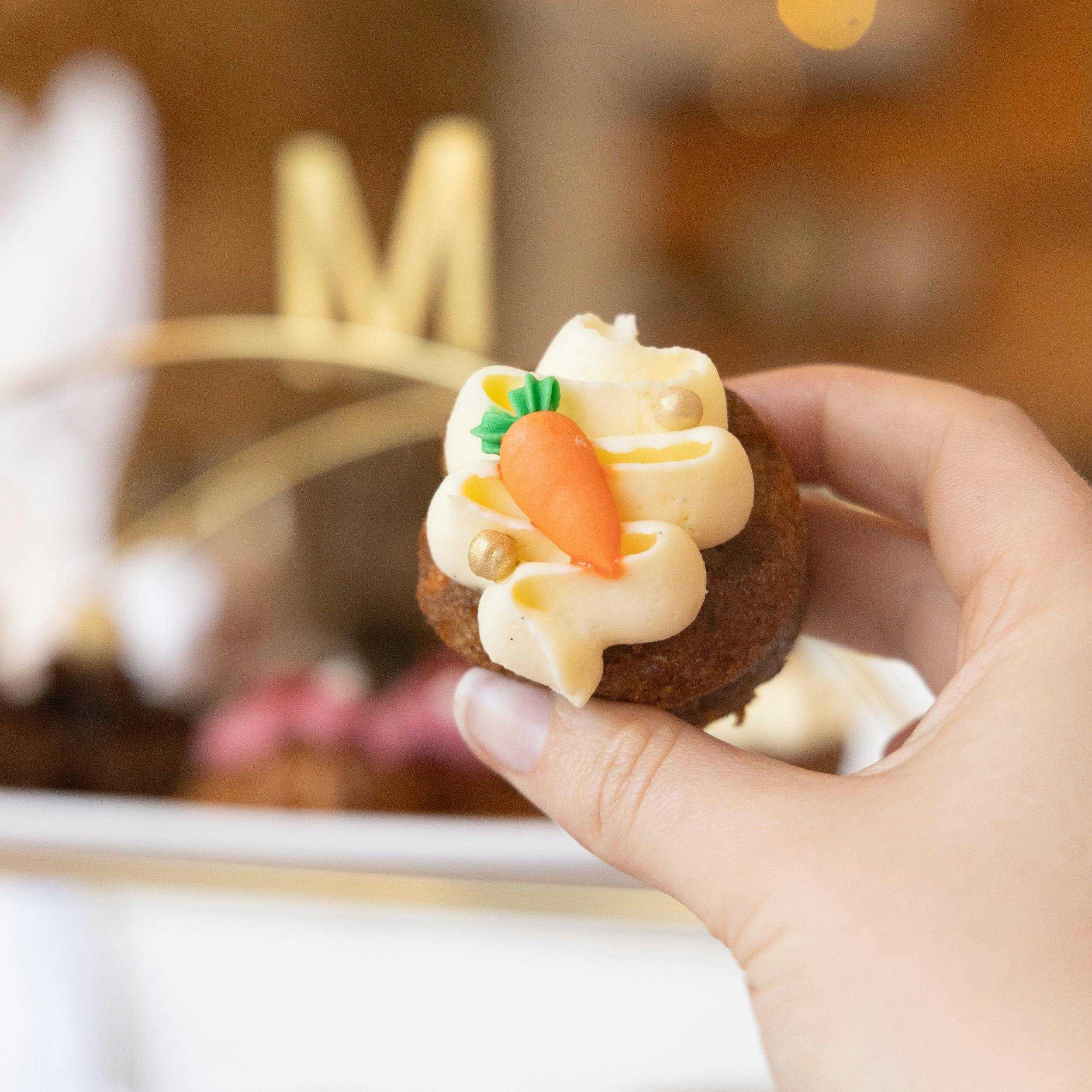 1618F5E4Bc251Ee61C045D181Fbe5A9E