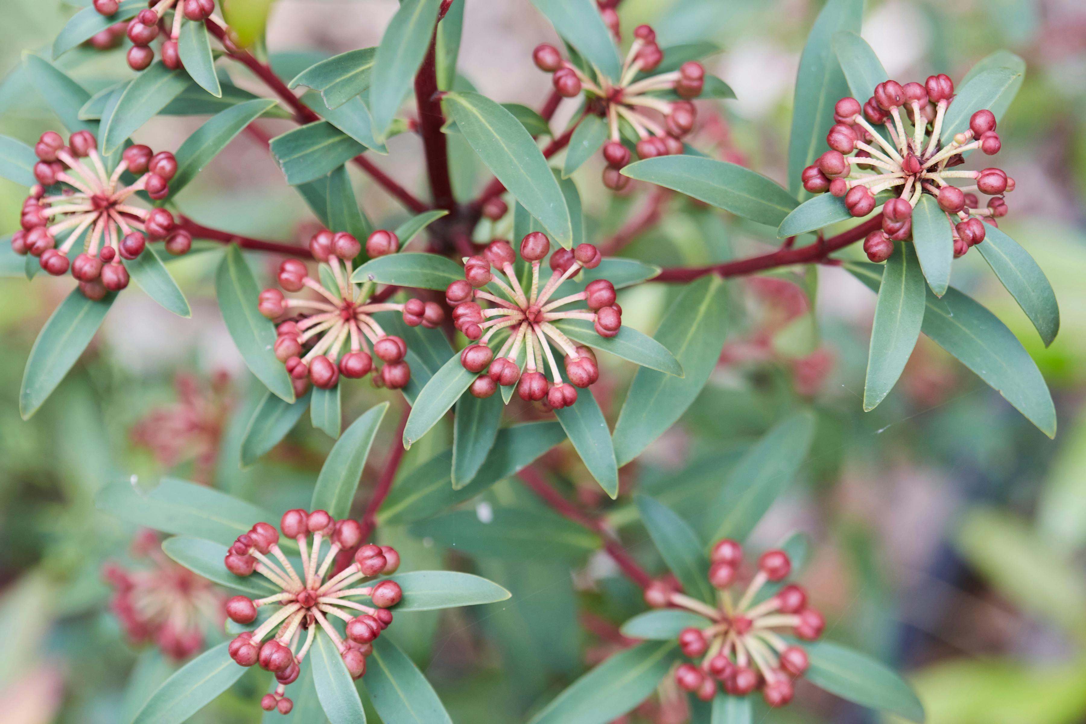 16D46Dbcfdcc9A3F028Bdafd62Becb18